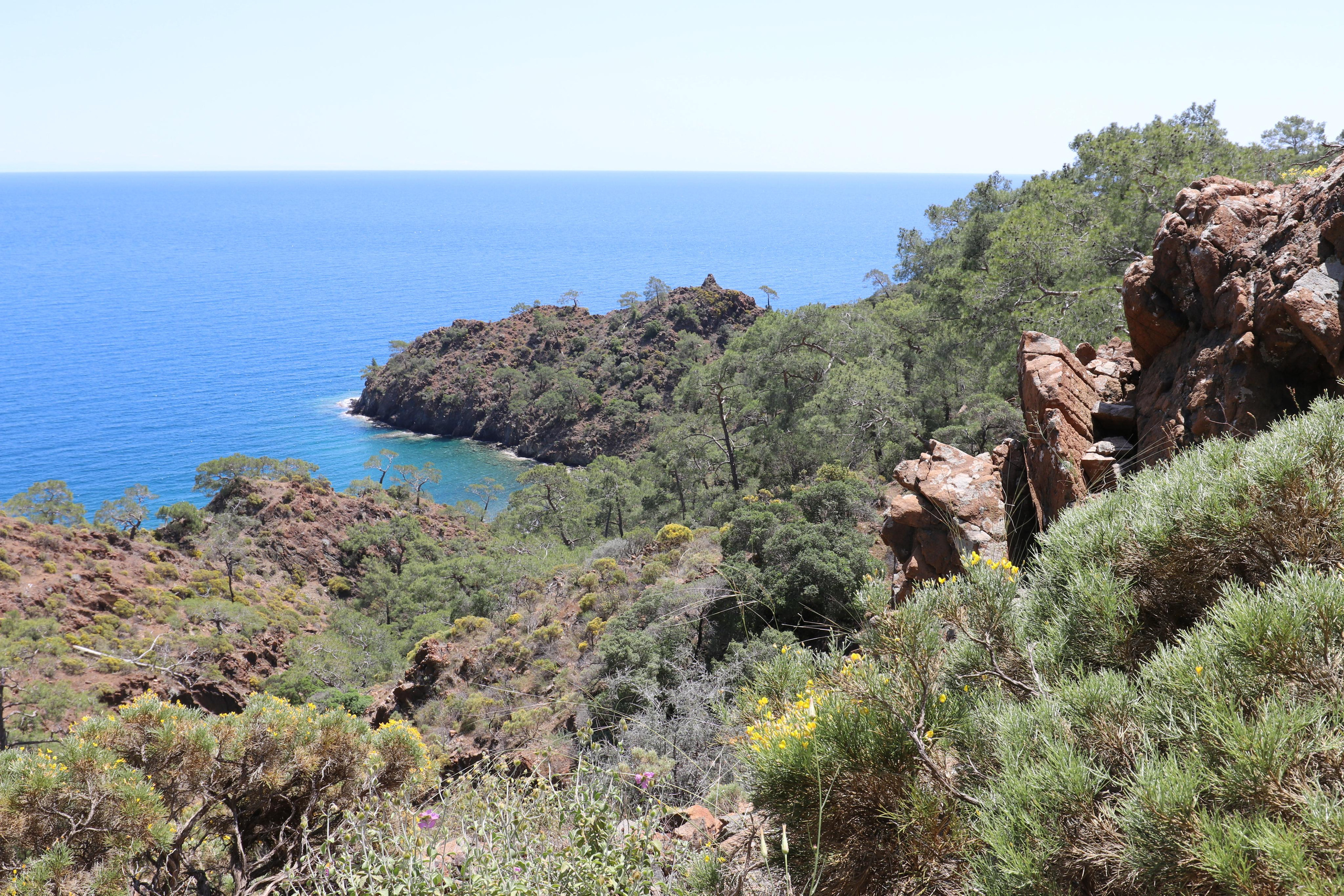 Турция. Чиралы. Май 2022 года. Путешественник-фотограф из Санкт-Петербурга Татьяна Свистулина