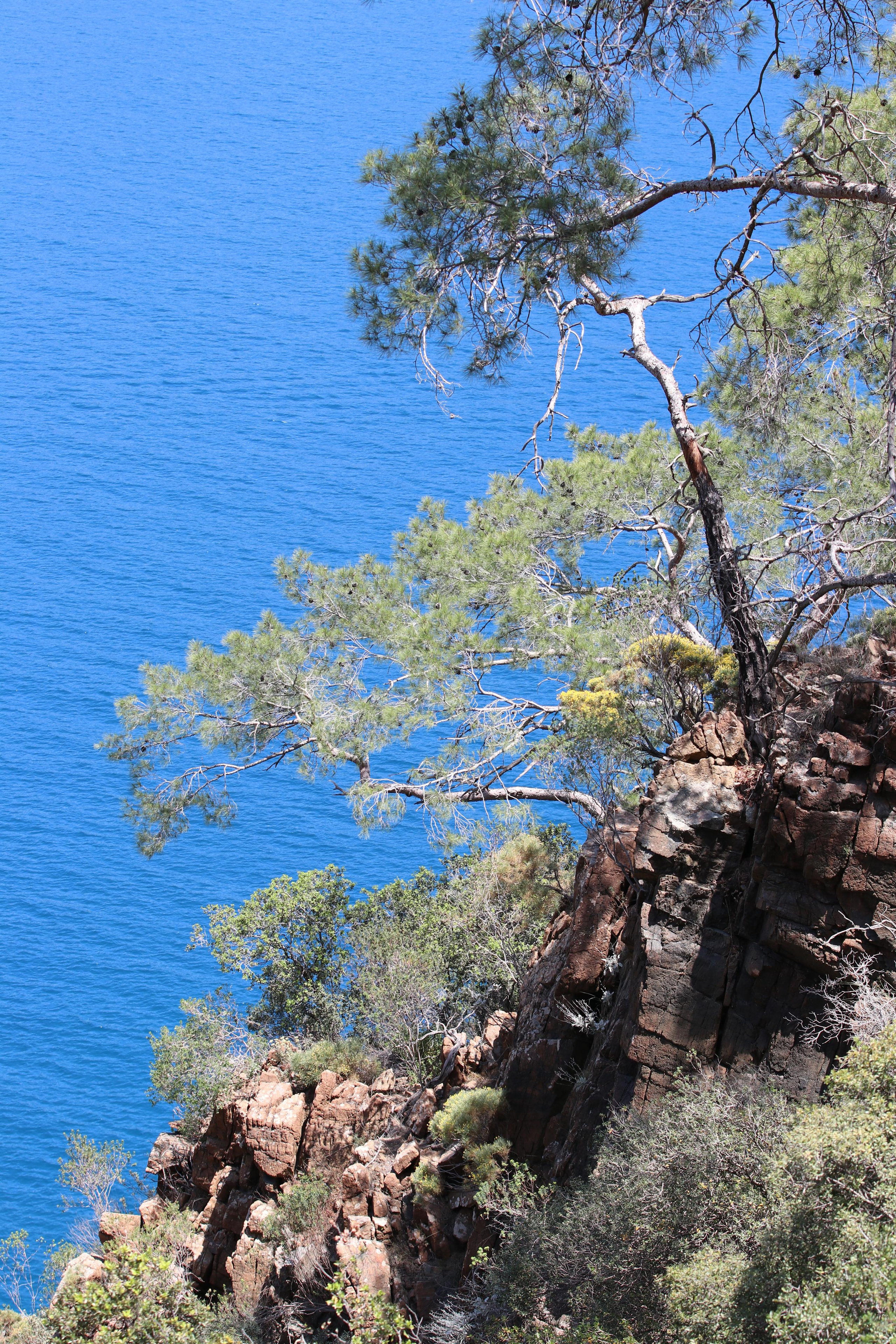 Турция. Чиралы. Май 2022 года. Путешественник-фотограф из Санкт-Петербурга Татьяна Свистулина