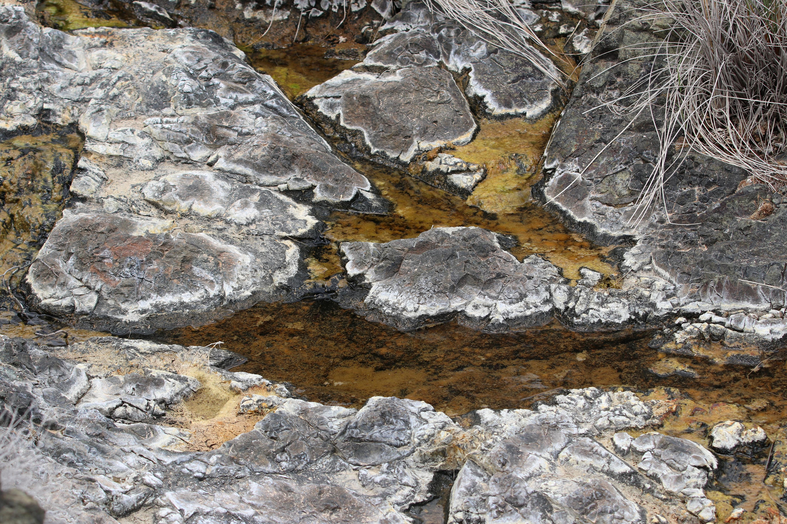 Турция. Чиралы. Май 2022 года. Путешественник-фотограф из Санкт-Петербурга Татьяна Свистулина