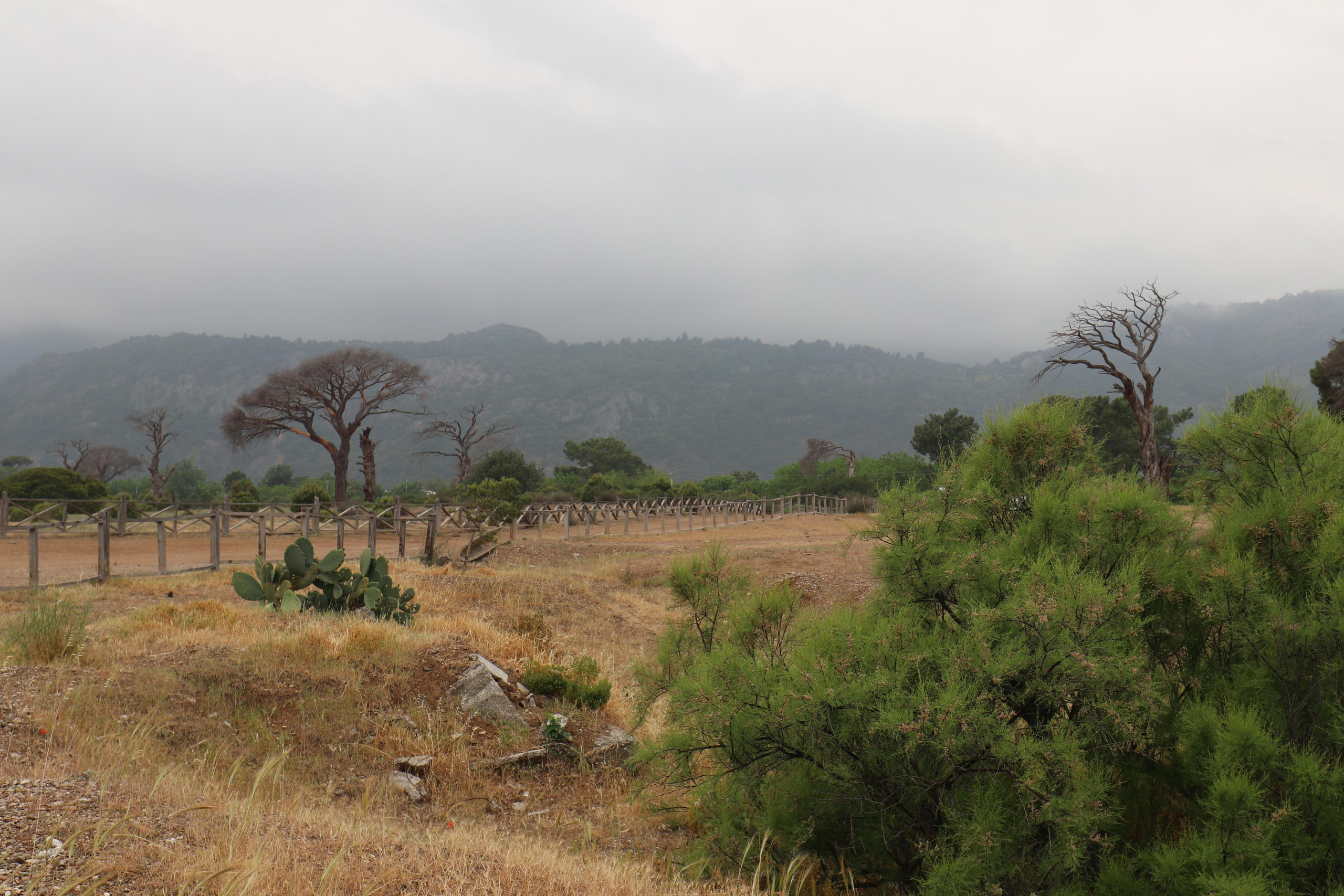 Турция. Чиралы. Май 2022 года. Путешественник-фотограф из Санкт-Петербурга Татьяна Свистулина