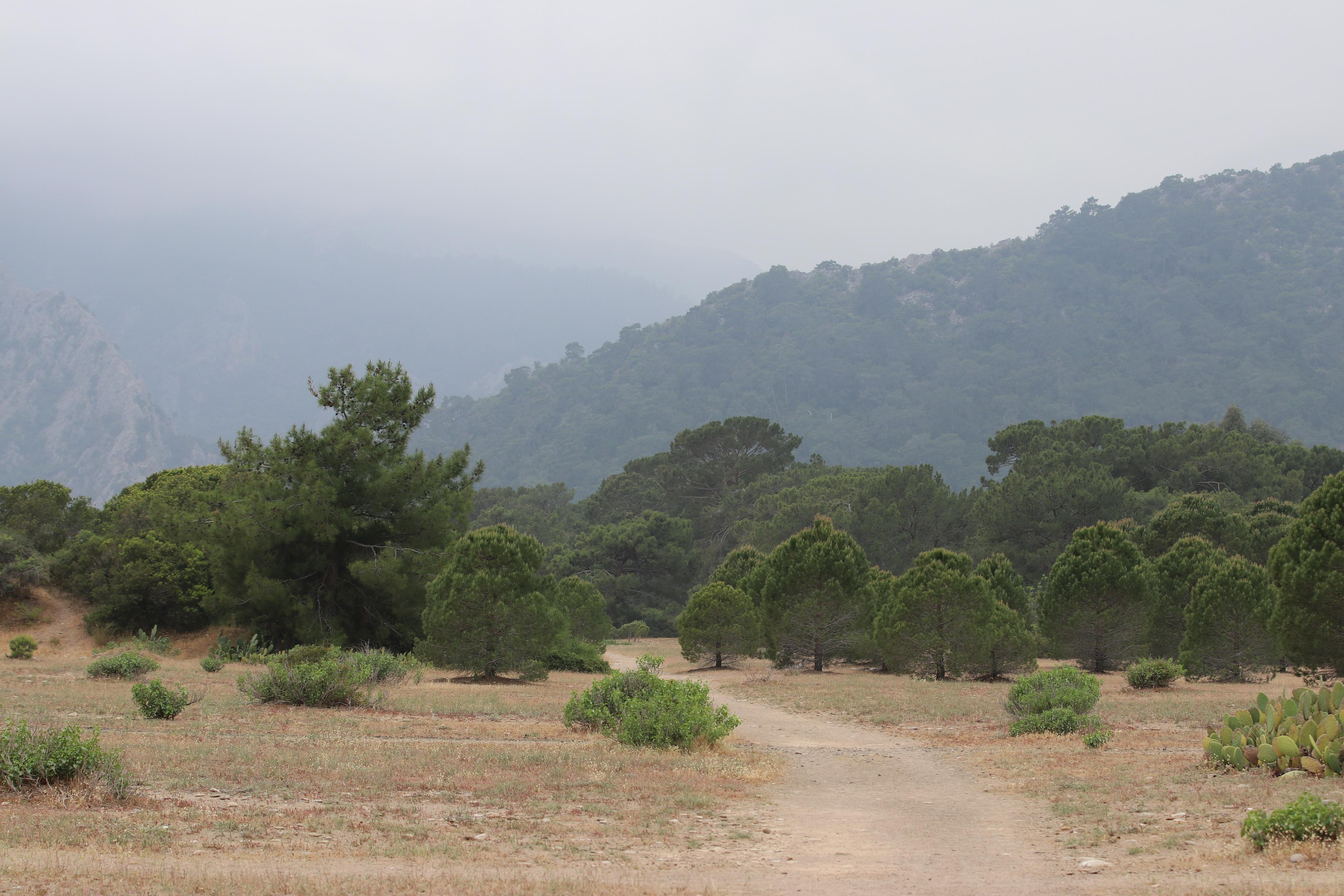 Турция. Чиралы. Май 2022 года. Путешественник-фотограф из Санкт-Петербурга Татьяна Свистулина