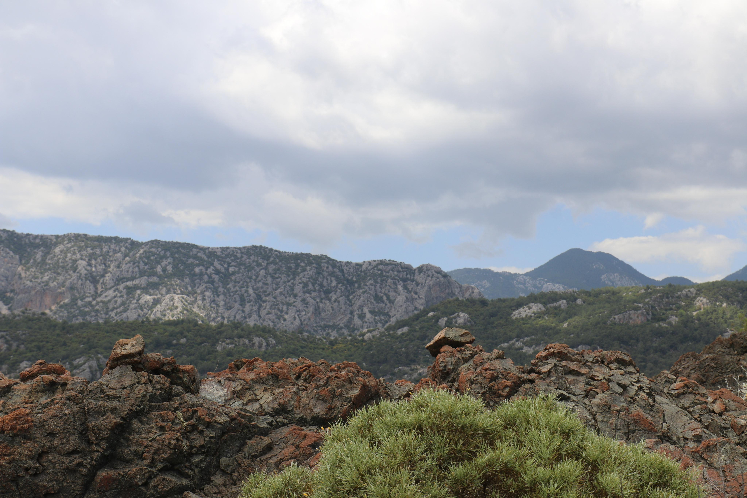 Турция. Чиралы. Май 2022 года. Путешественник-фотограф из Санкт-Петербурга Татьяна Свистулина