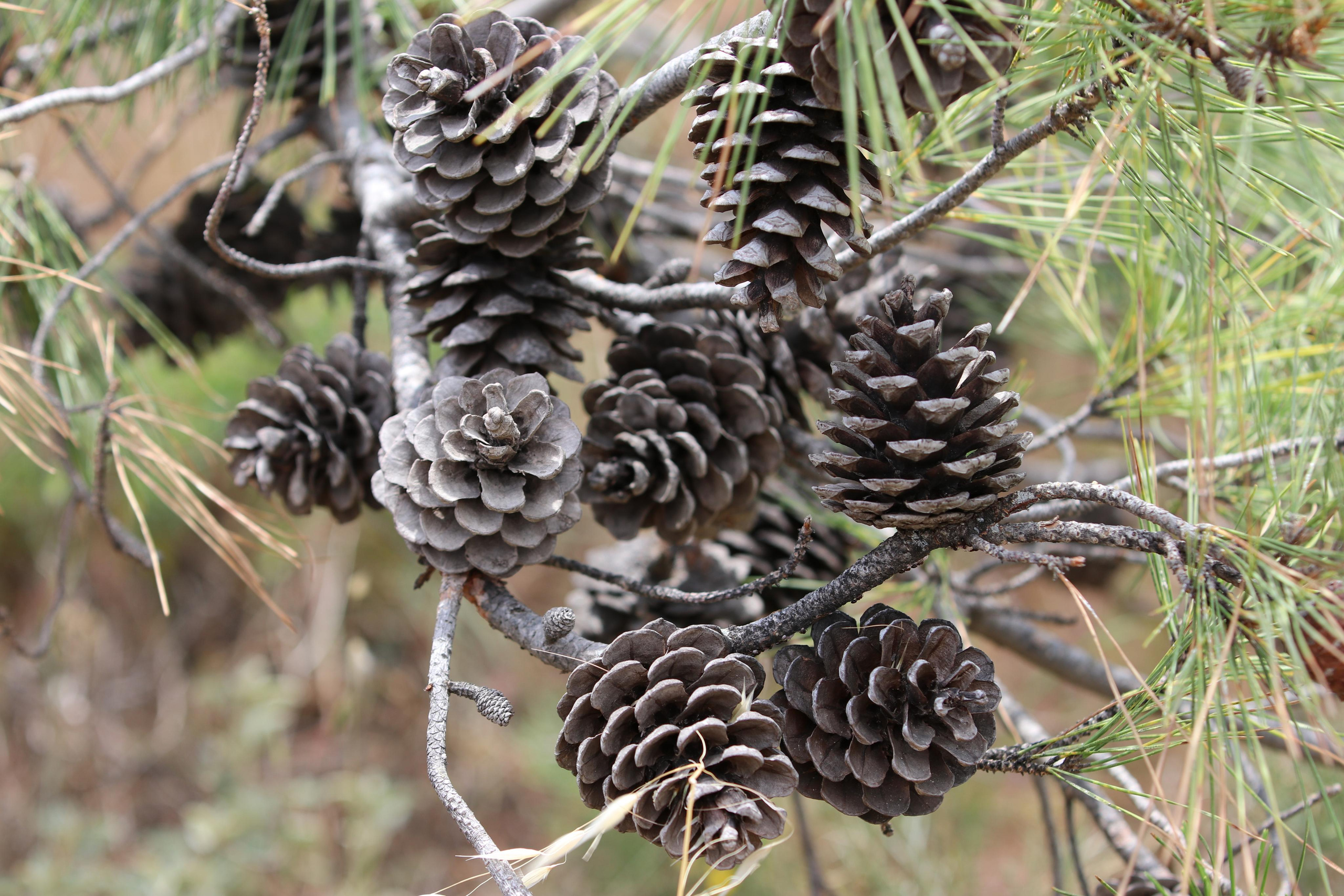 Турция. Чиралы. Май 2022 года. Путешественник-фотограф из Санкт-Петербурга Татьяна Свистулина