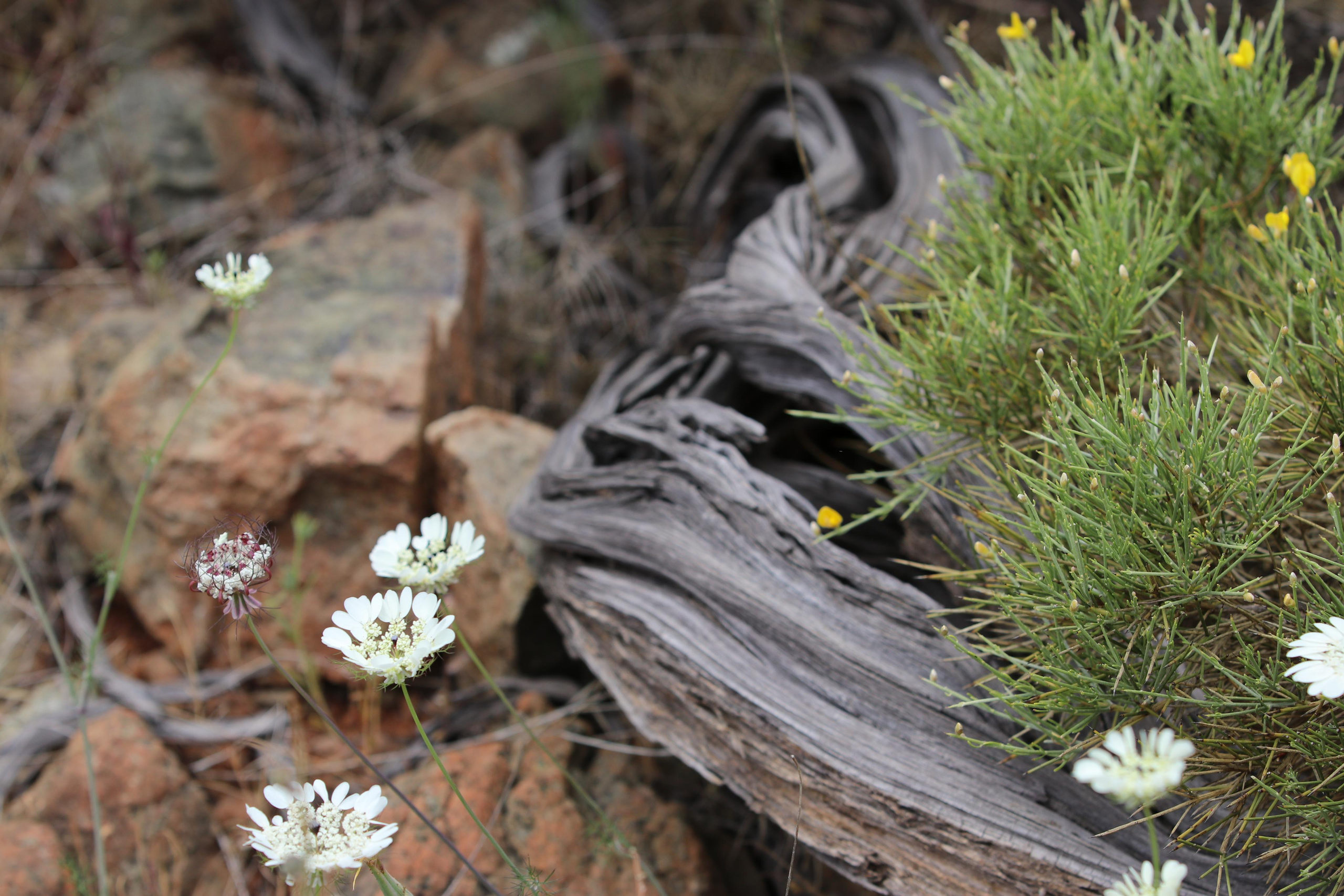 Турция. Чиралы. Май 2022 года. Путешественник-фотограф из Санкт-Петербурга Татьяна Свистулина