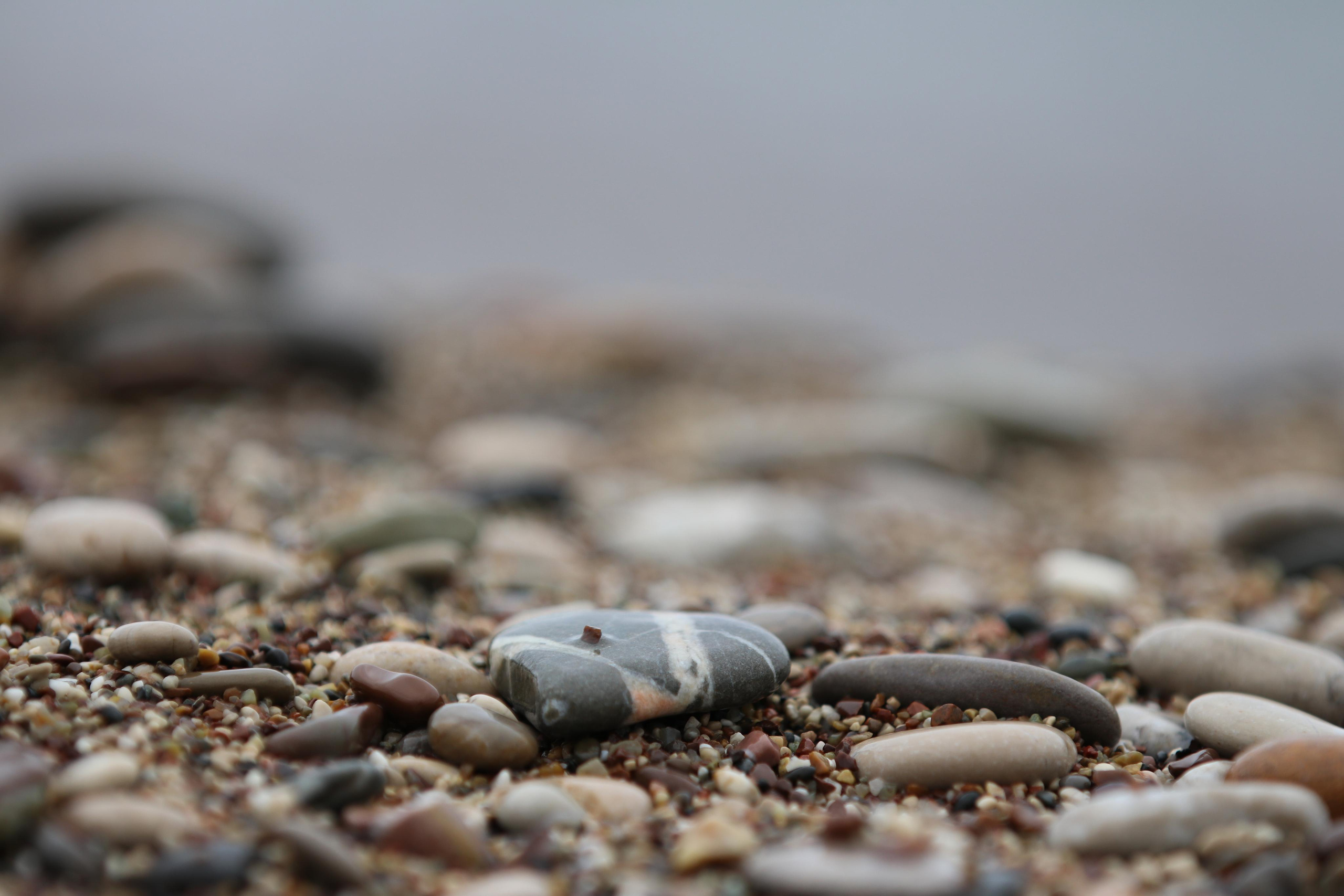 Турция. Чиралы. Май 2022 года. Путешественник-фотограф из Санкт-Петербурга Татьяна Свистулина
