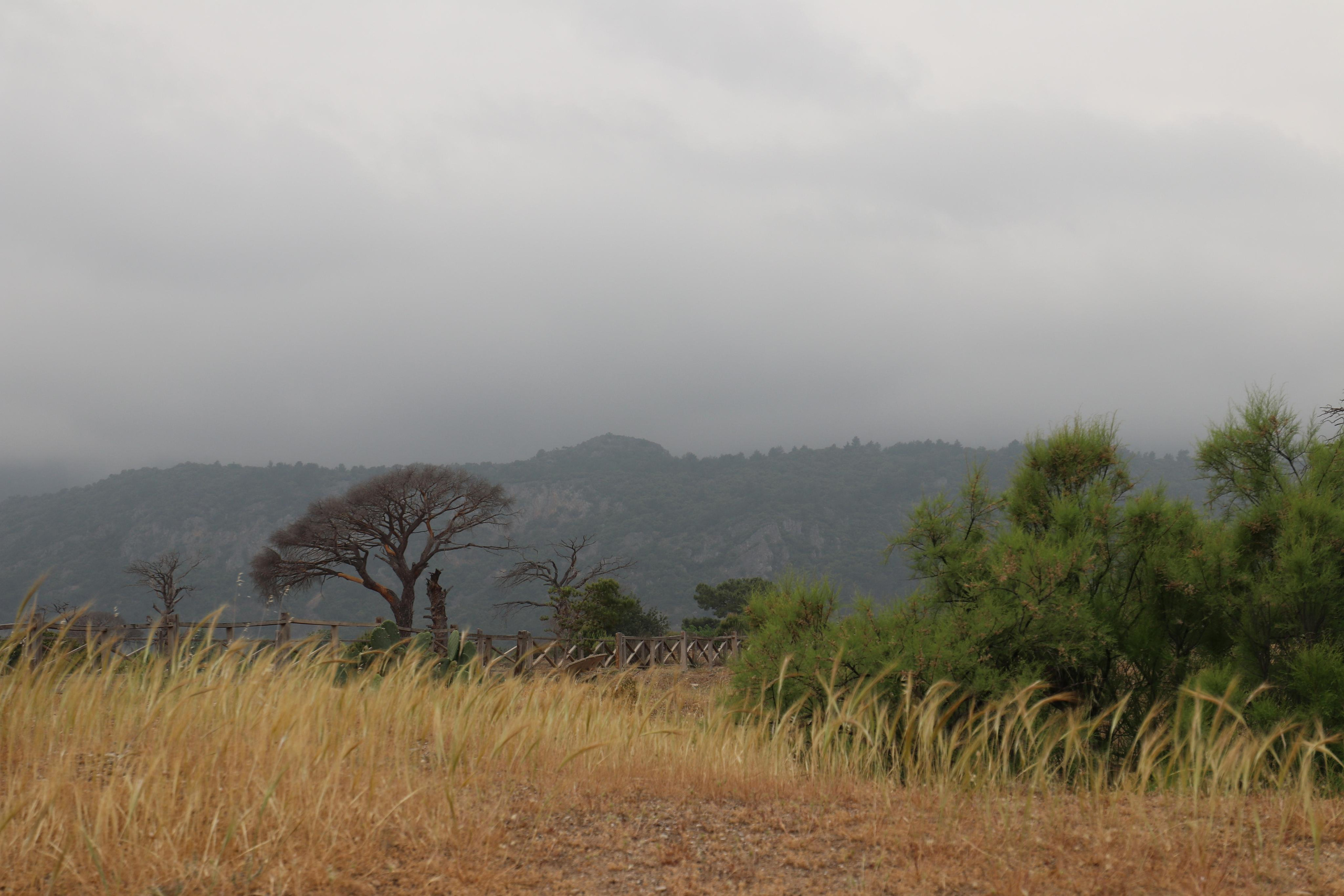 Турция. Чиралы. Май 2022 года. Путешественник-фотограф из Санкт-Петербурга Татьяна Свистулина