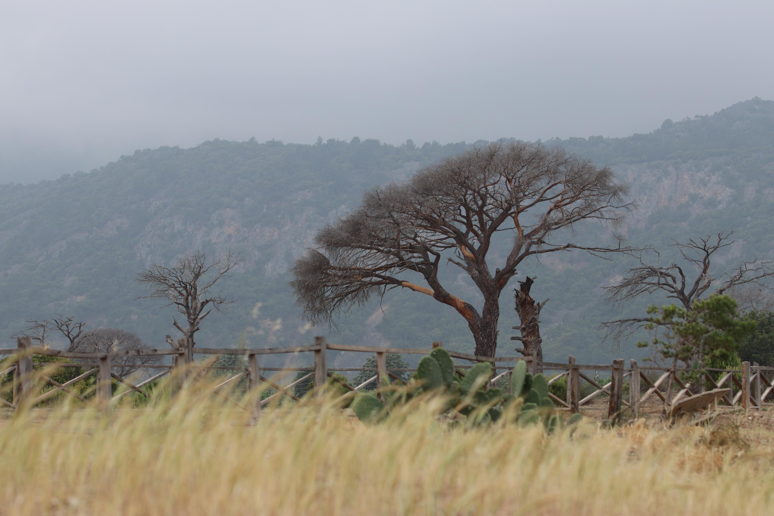 Турция. Чиралы. Май 2022 года. Путешественник-фотограф из Санкт-Петербурга Татьяна Свистулина
