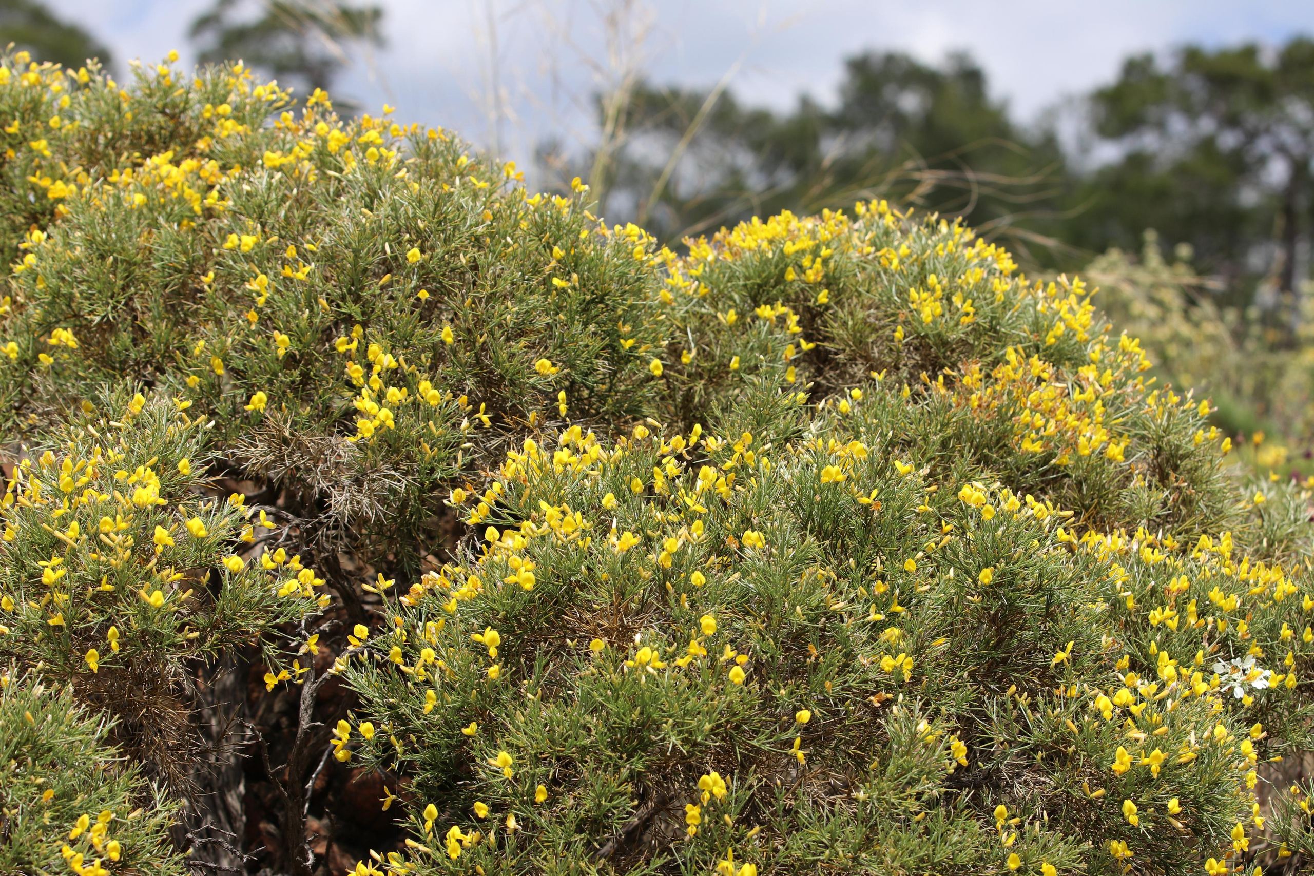Турция. Чиралы. Май 2022 года. Путешественник-фотограф из Санкт-Петербурга Татьяна Свистулина