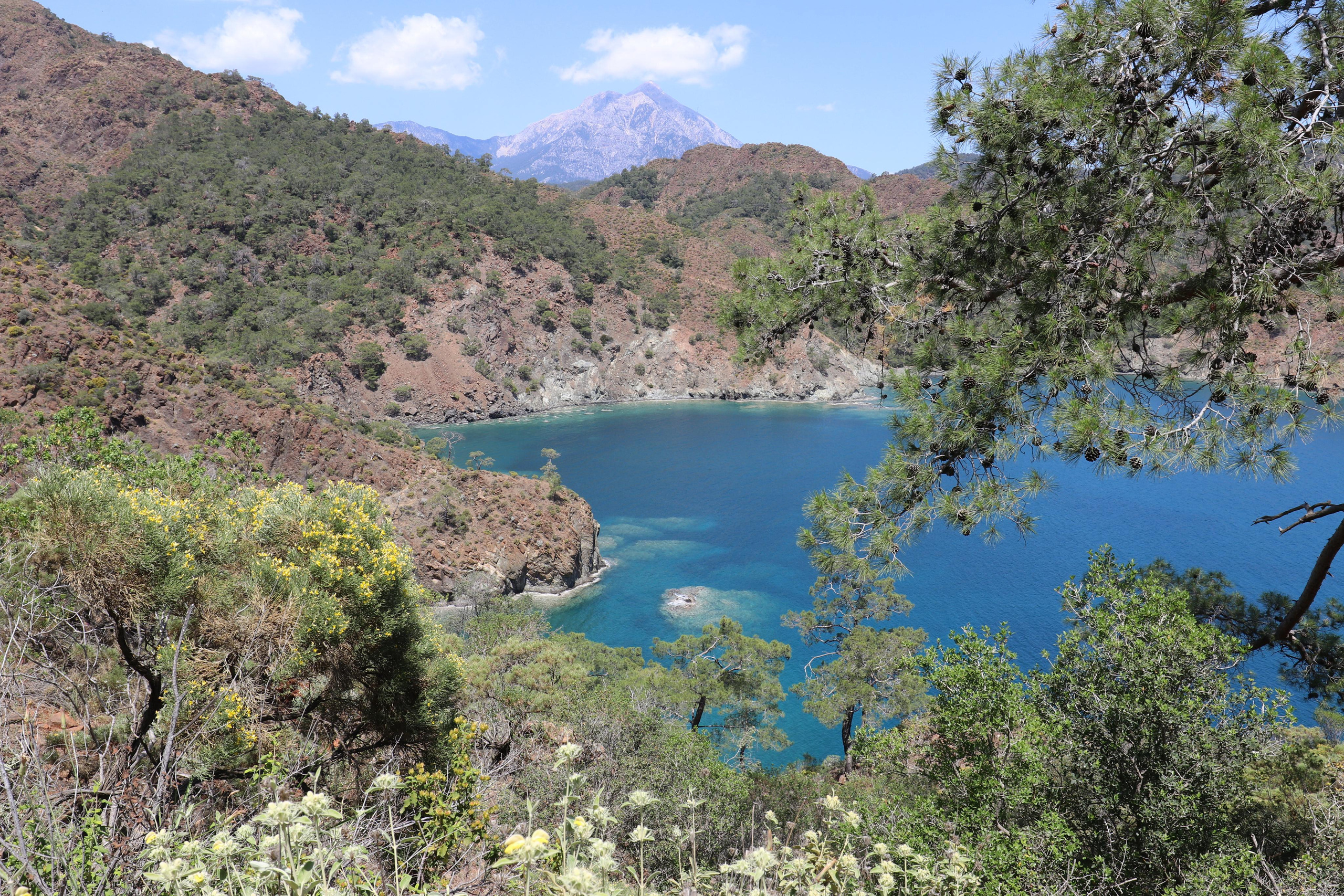 Турция. Чиралы. Май 2022 года. Путешественник-фотограф из Санкт-Петербурга Татьяна Свистулина