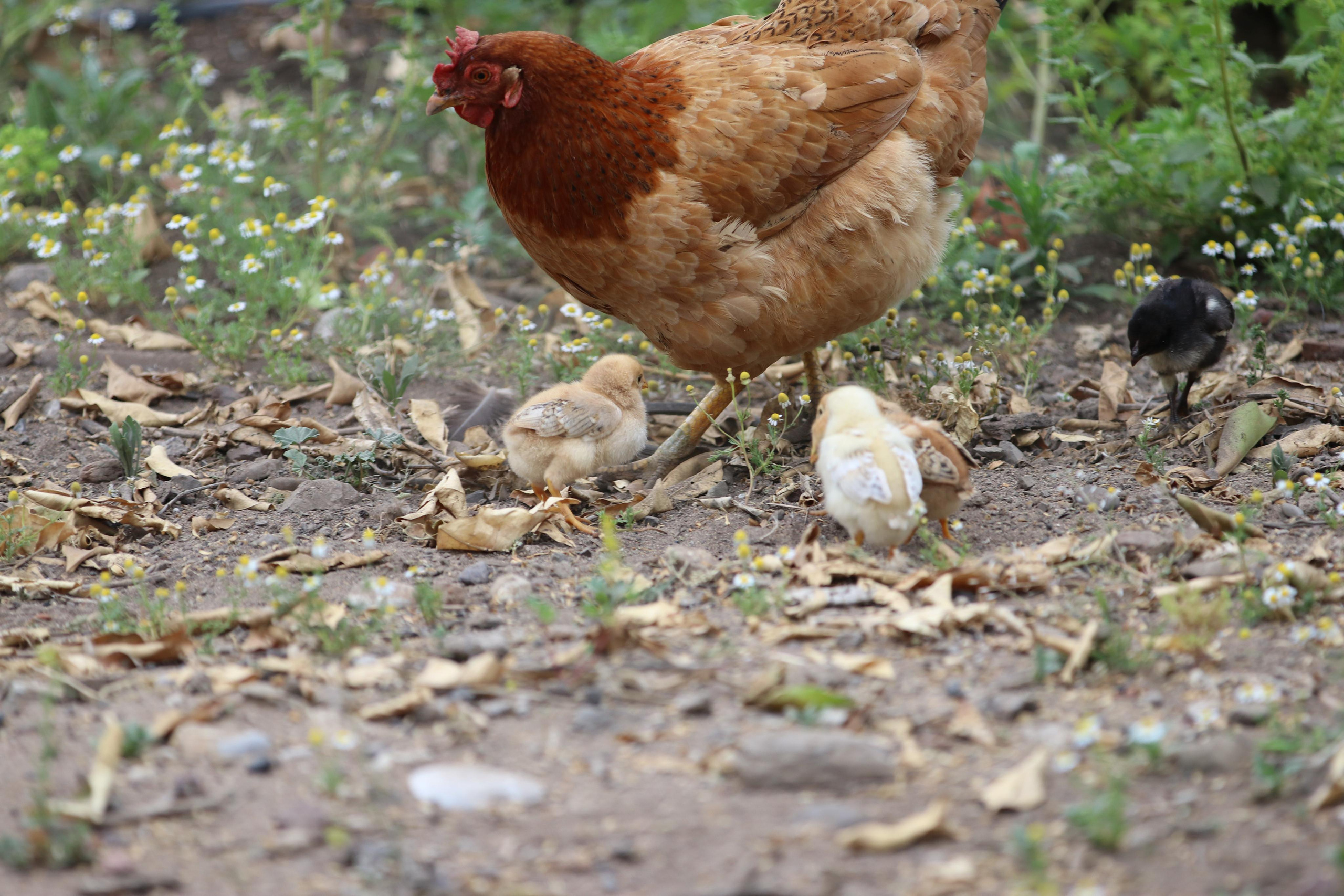 Турция. Чиралы. Май 2022 года. Путешественник-фотограф из Санкт-Петербурга Татьяна Свистулина