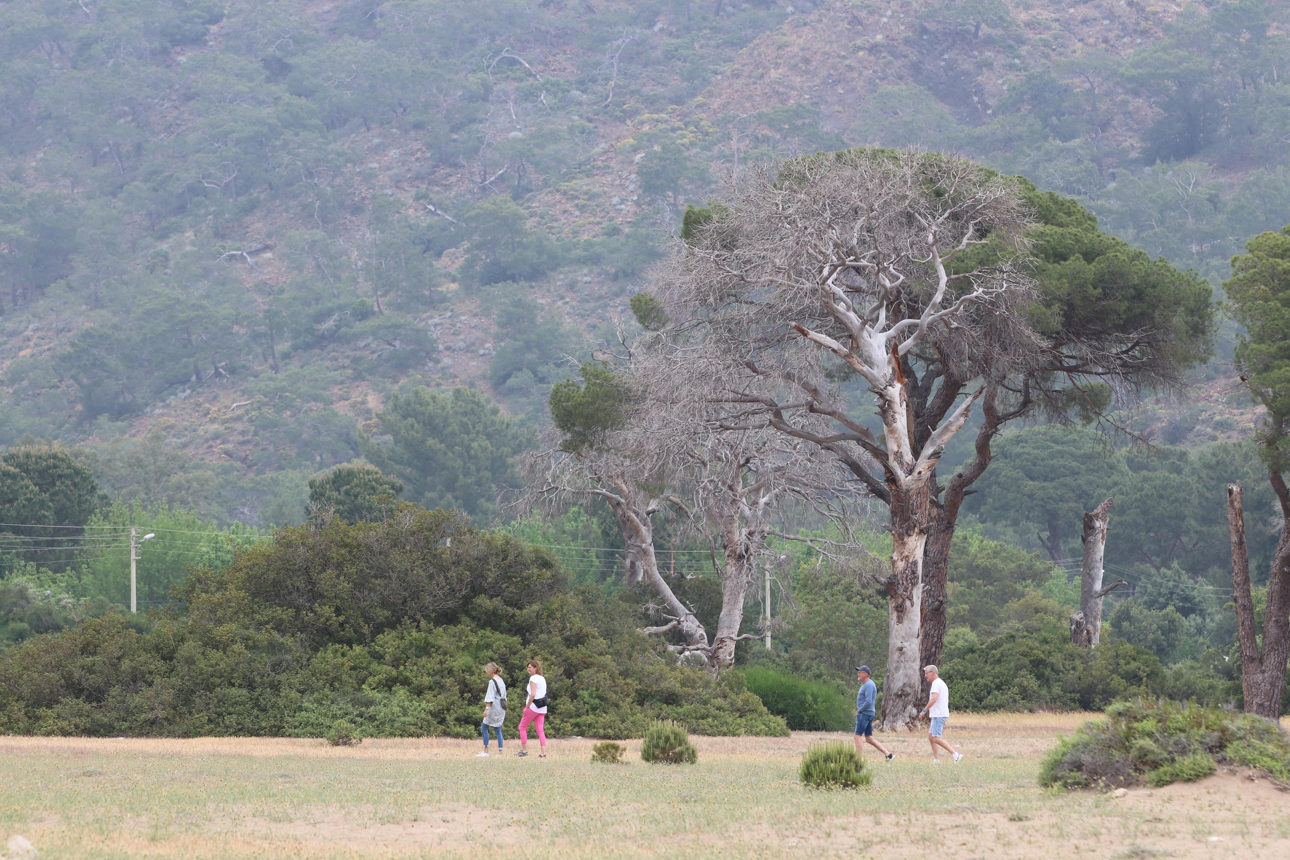 Турция. Чиралы. Май 2022 года. Путешественник-фотограф из Санкт-Петербурга Татьяна Свистулина
