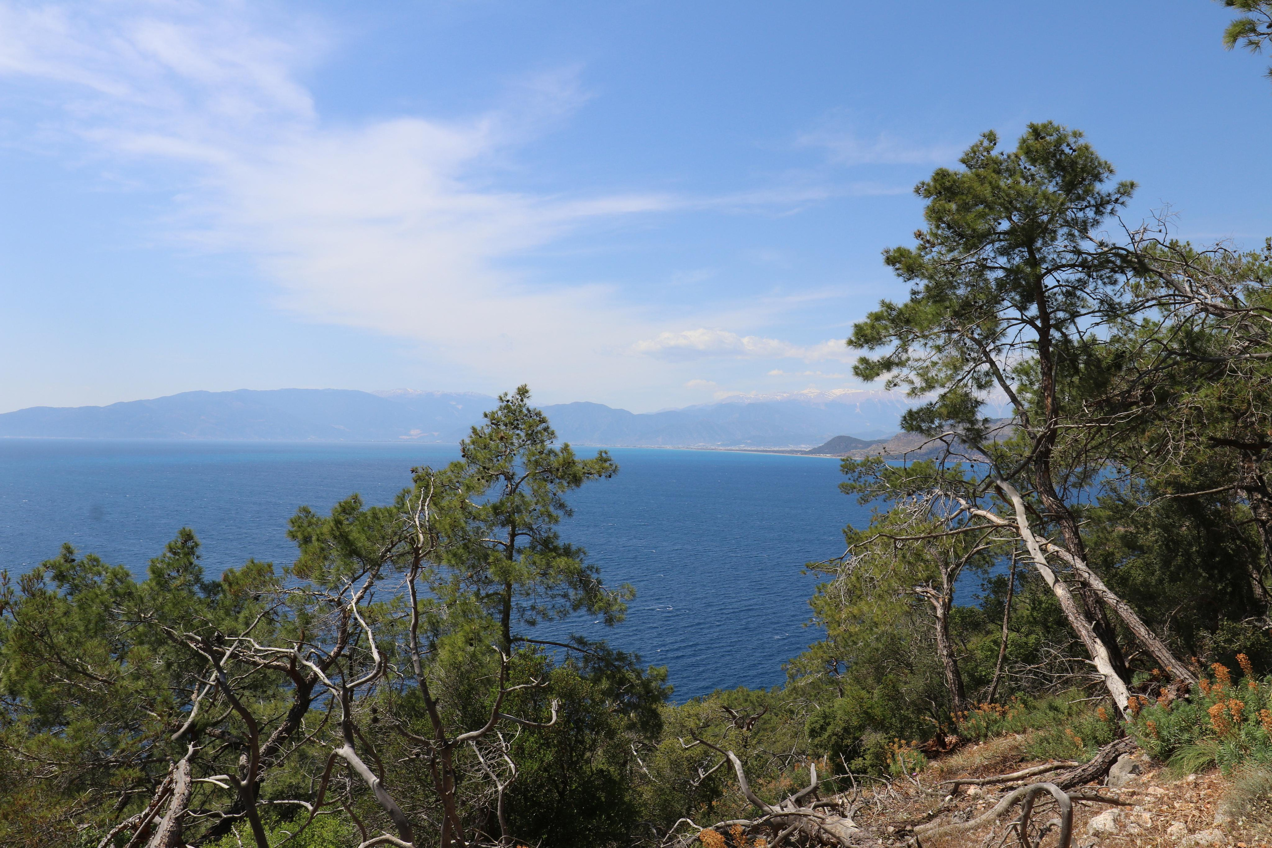 Турция. Чиралы. Май 2022 года. Путешественник-фотограф из Санкт-Петербурга Татьяна Свистулина