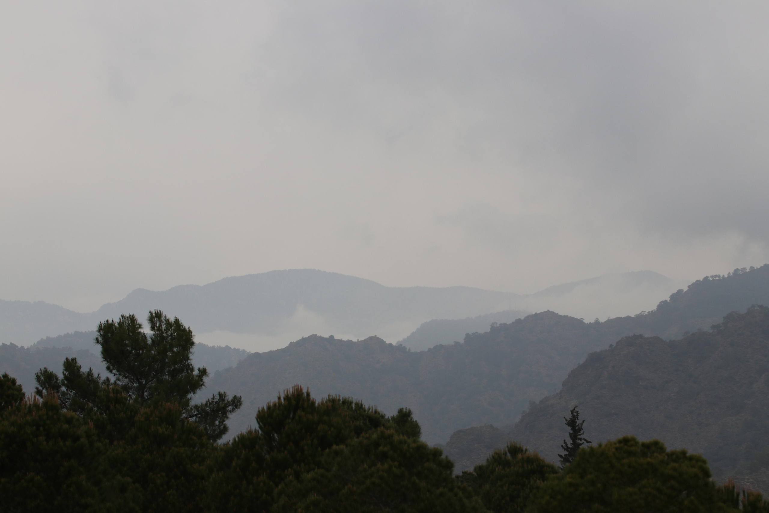 Турция. Чиралы. Май 2022 года. Путешественник-фотограф из Санкт-Петербурга Татьяна Свистулина