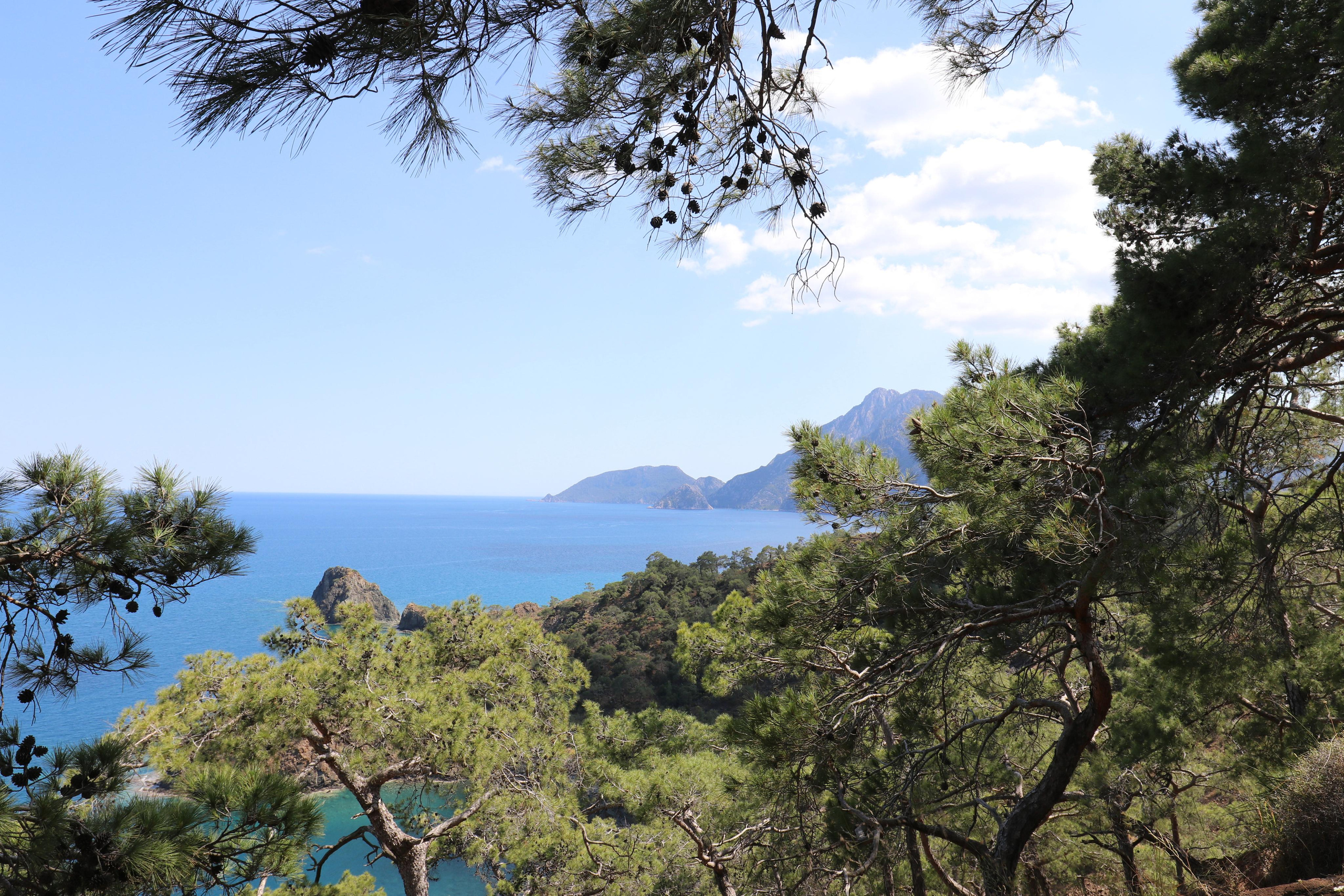 Турция. Чиралы. Май 2022 года. Путешественник-фотограф из Санкт-Петербурга Татьяна Свистулина