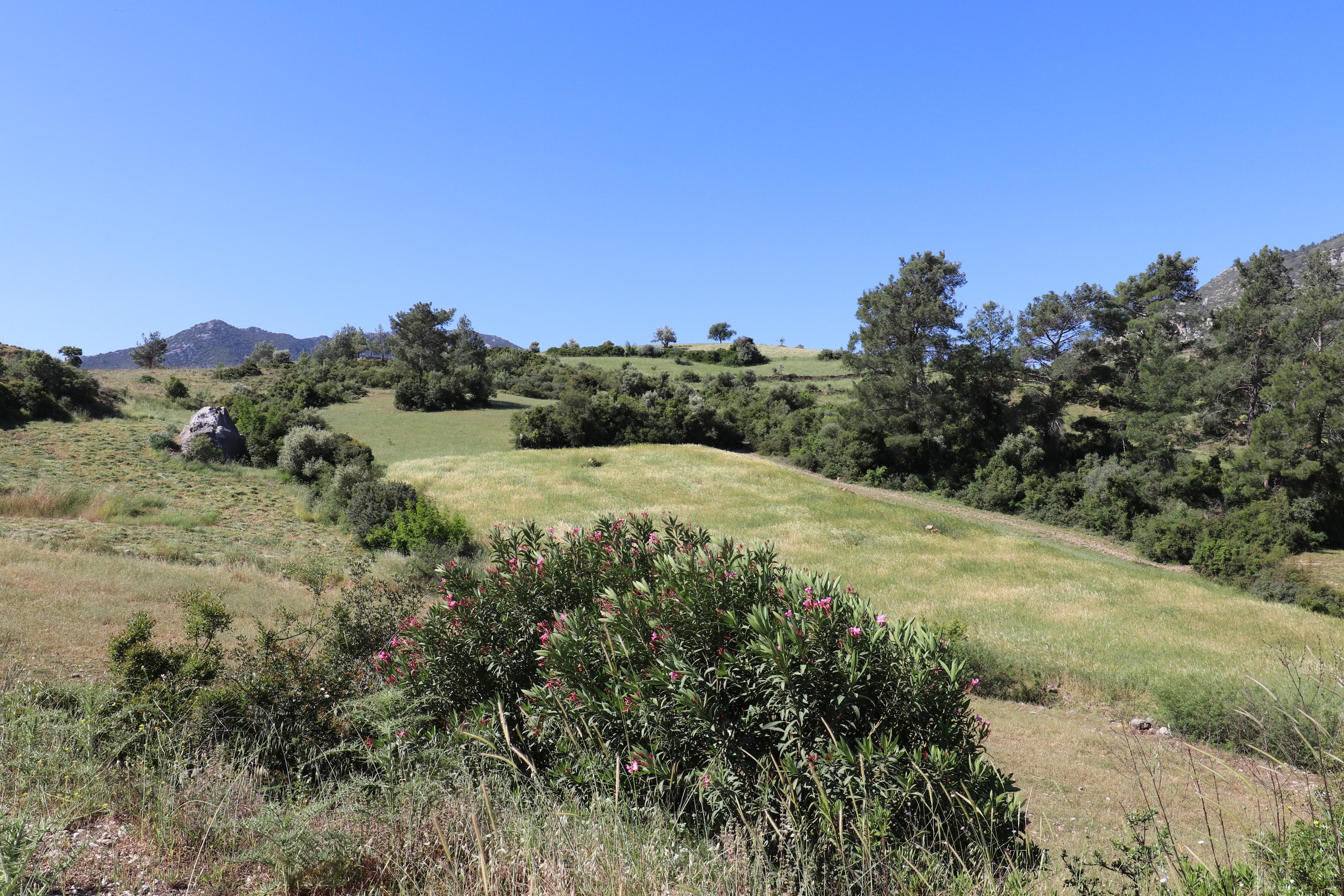 Турция. Чиралы. Май 2022 года. Путешественник-фотограф из Санкт-Петербурга Татьяна Свистулина