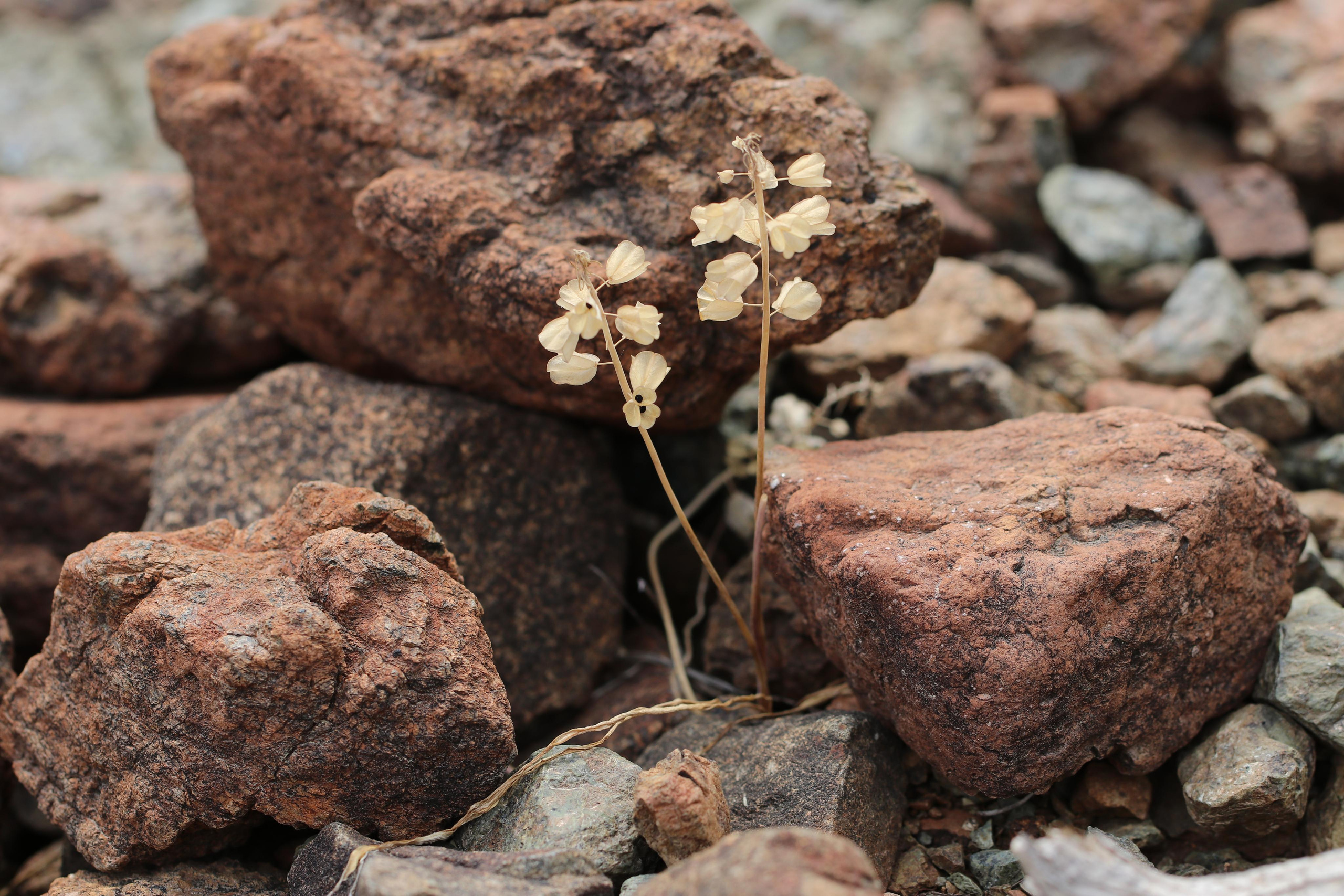 Турция. Чиралы. Май 2022 года. Путешественник-фотограф из Санкт-Петербурга Татьяна Свистулина