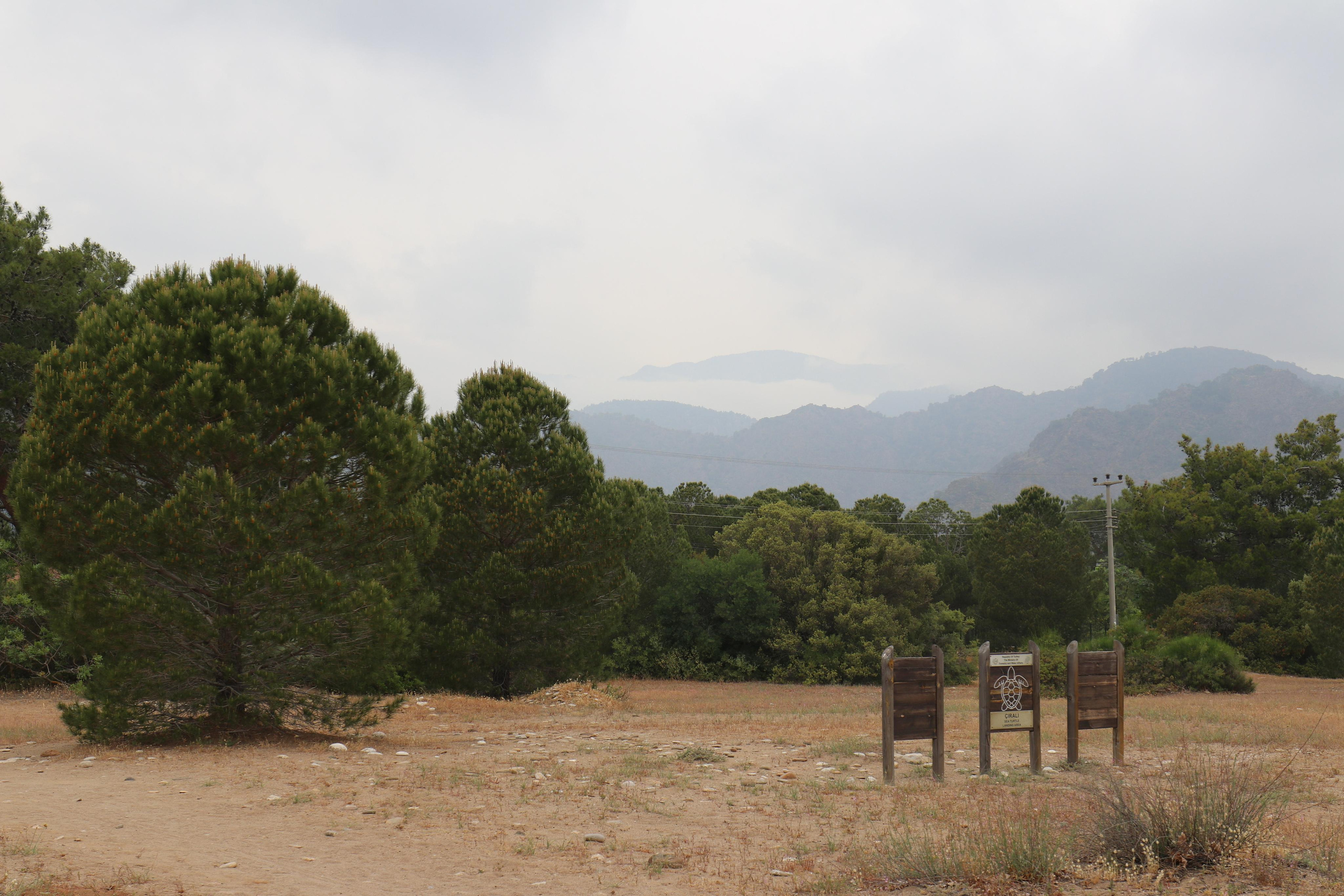 Турция. Чиралы. Май 2022 года. Путешественник-фотограф из Санкт-Петербурга Татьяна Свистулина
