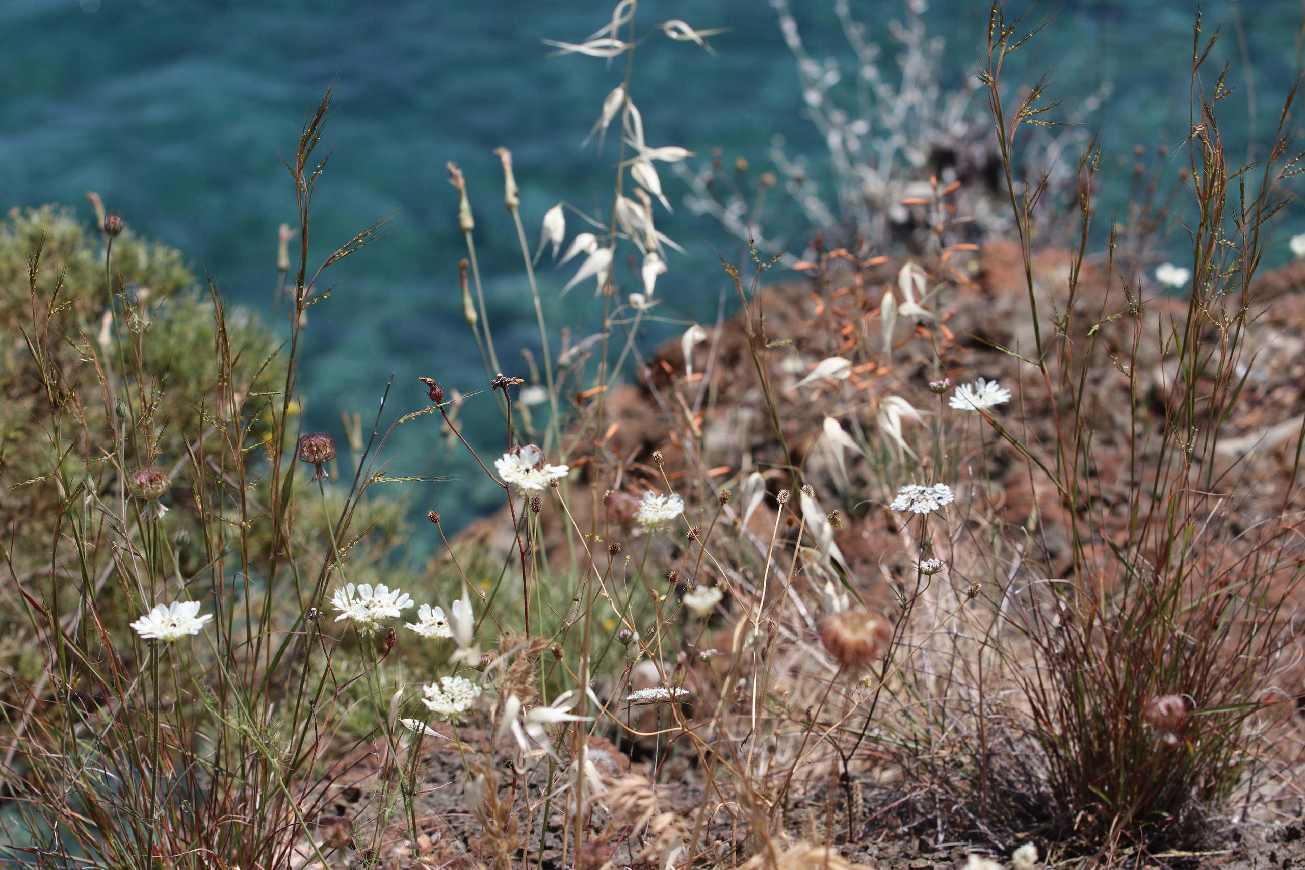 Турция. Чиралы. Май 2022 года. Путешественник-фотограф из Санкт-Петербурга Татьяна Свистулина