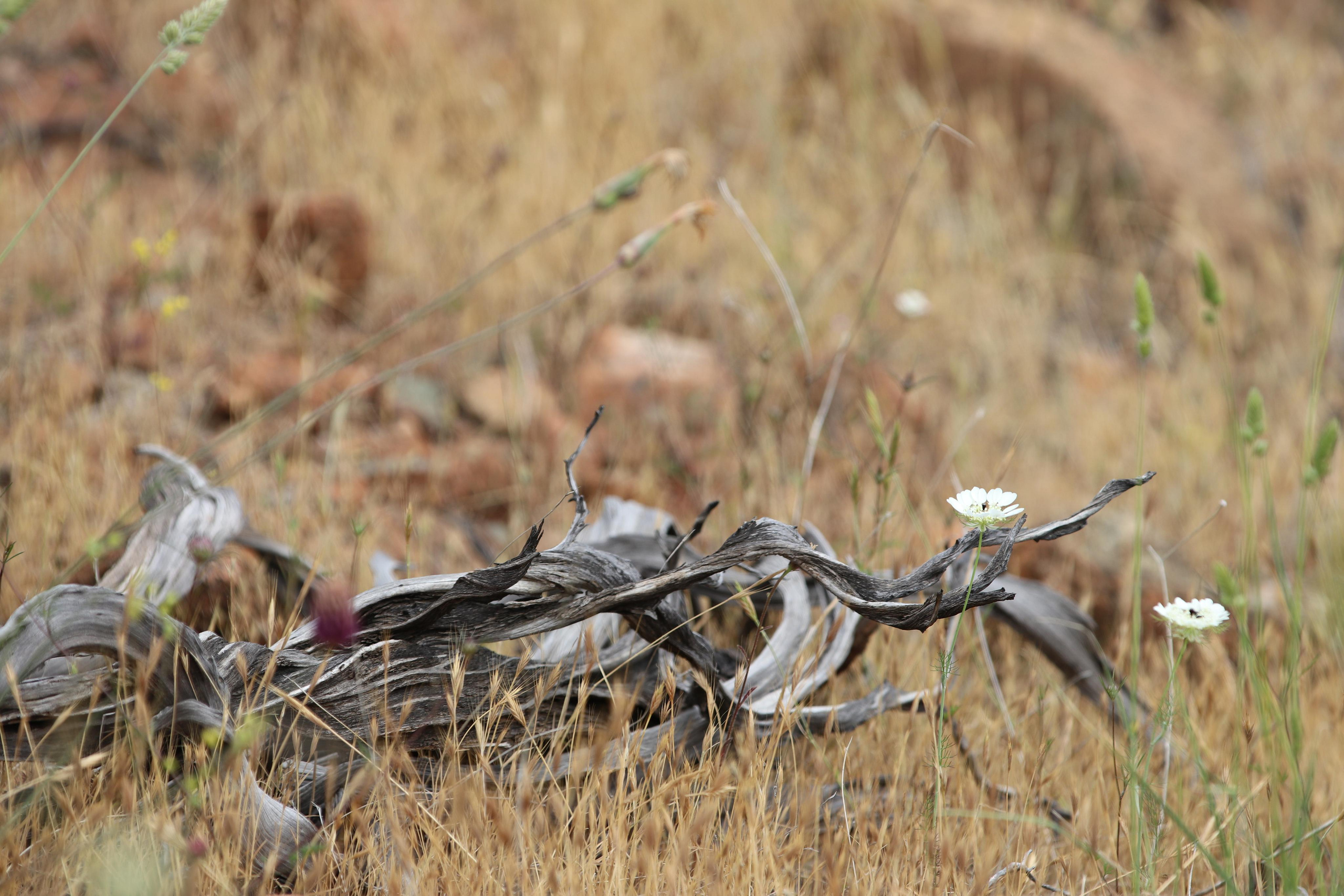 Турция. Чиралы. Май 2022 года. Путешественник-фотограф из Санкт-Петербурга Татьяна Свистулина