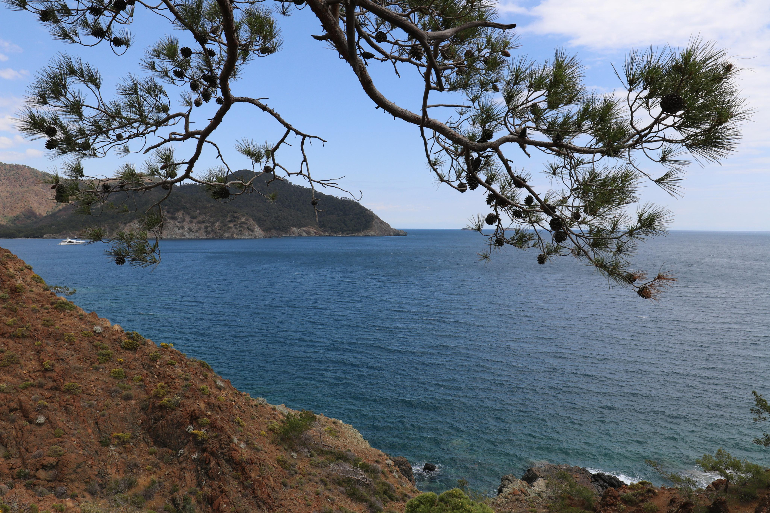 Турция. Чиралы. Май 2022 года. Путешественник-фотограф из Санкт-Петербурга Татьяна Свистулина