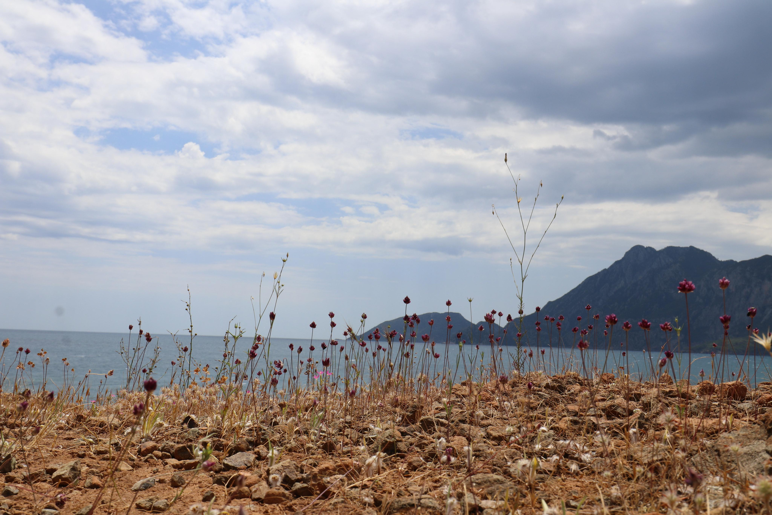 Турция. Чиралы. Май 2022 года. Путешественник-фотограф из Санкт-Петербурга Татьяна Свистулина