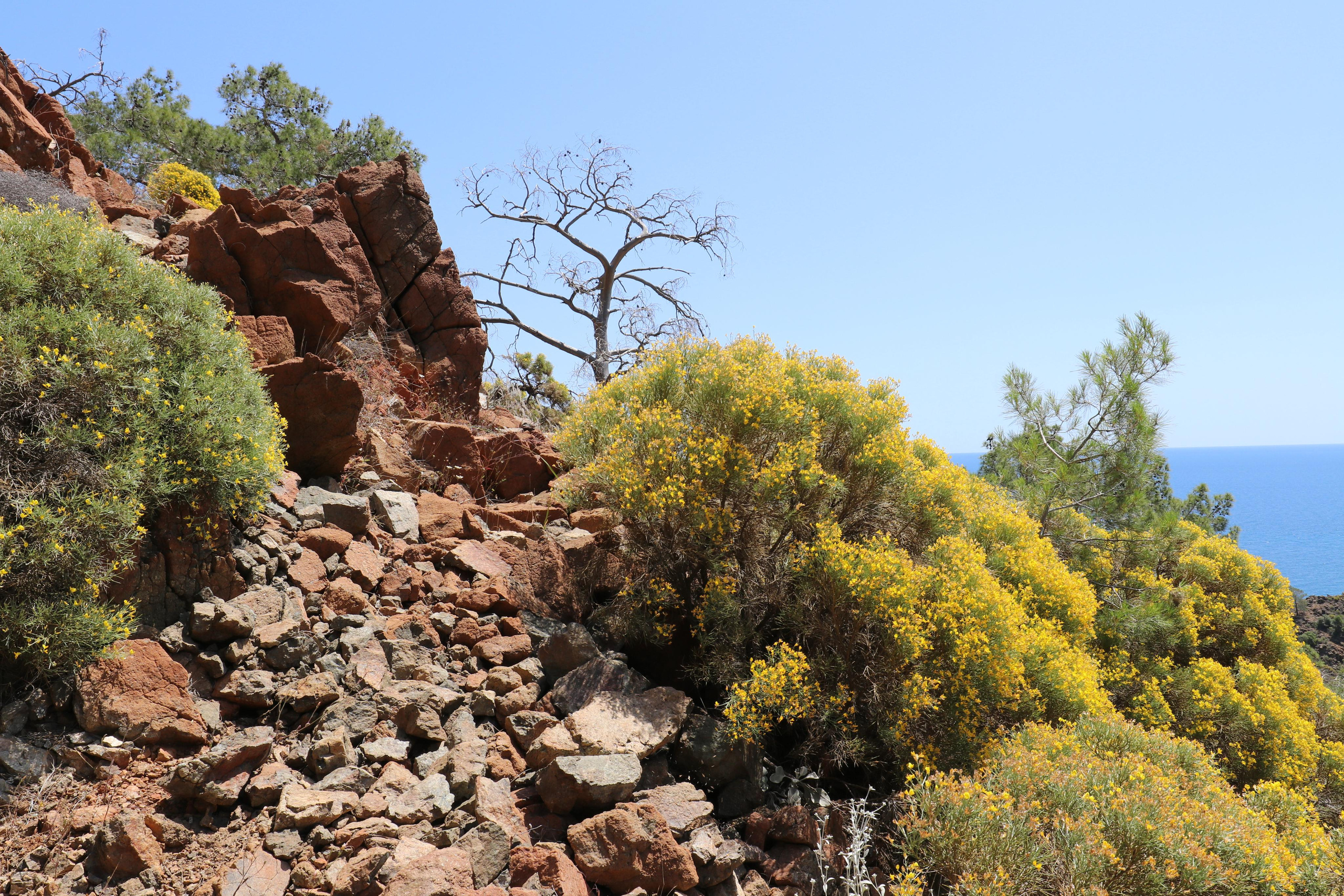 Турция. Чиралы. Май 2022 года. Путешественник-фотограф из Санкт-Петербурга Татьяна Свистулина
