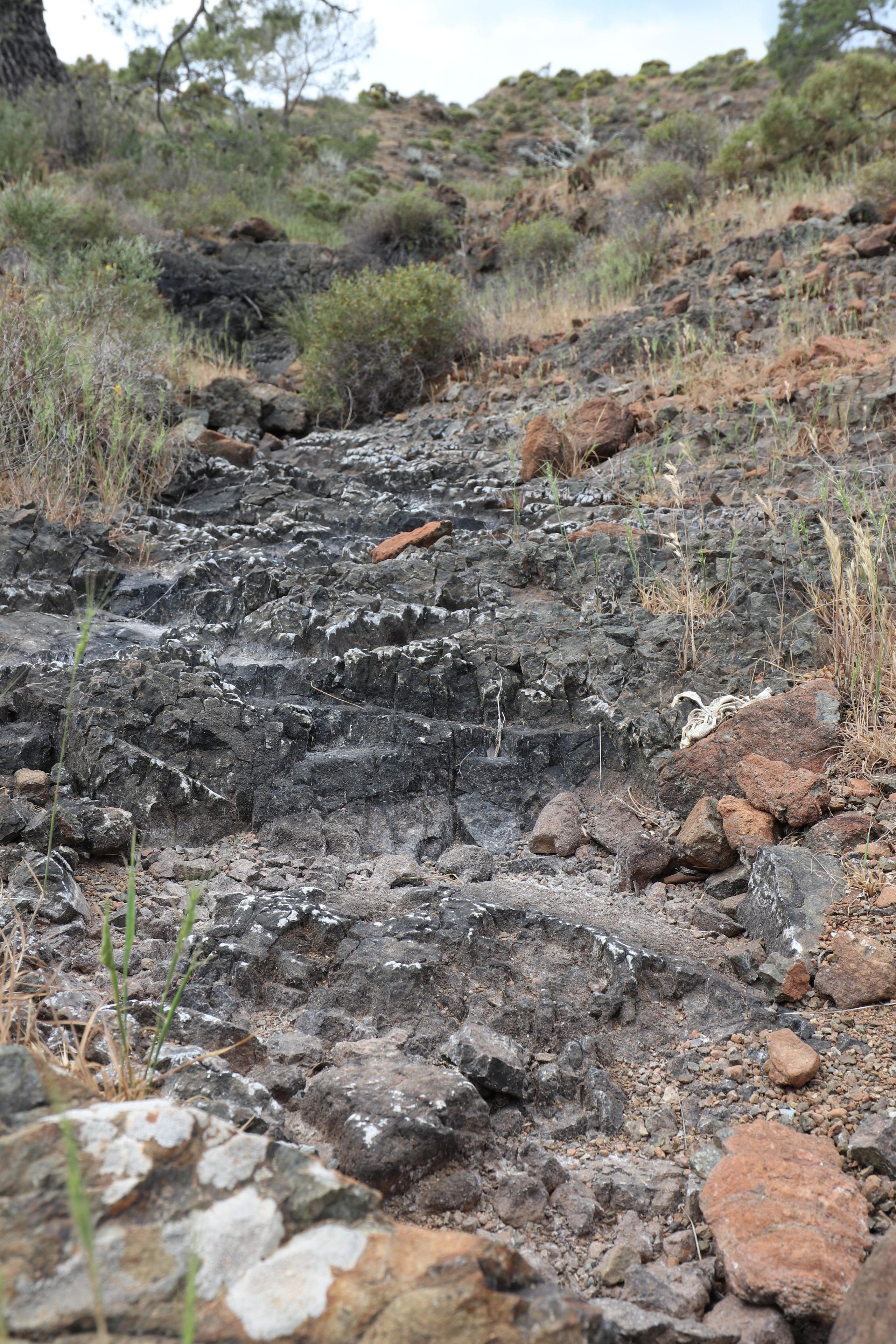Турция. Чиралы. Май 2022 года. Путешественник-фотограф из Санкт-Петербурга Татьяна Свистулина