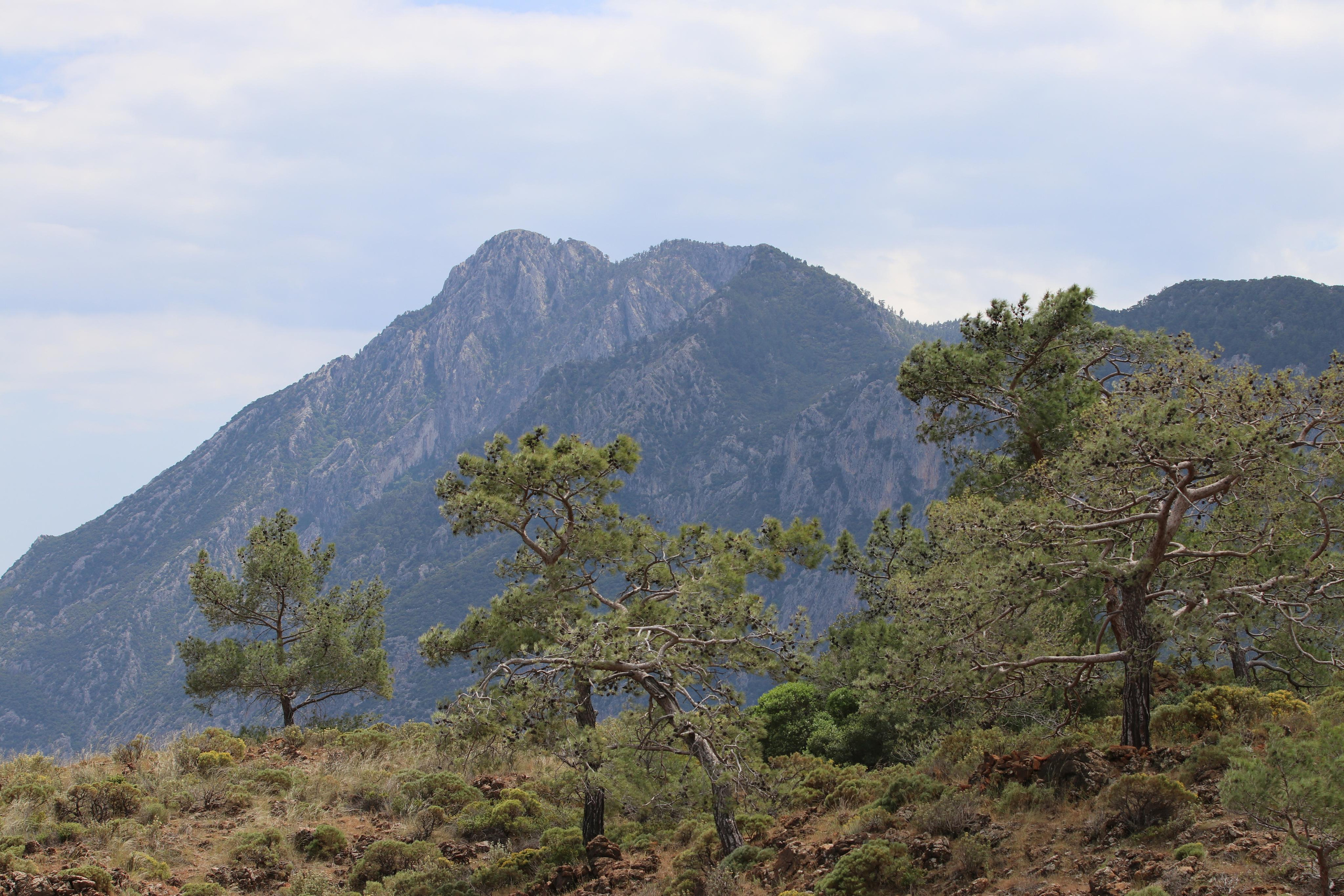 Турция. Чиралы. Май 2022 года. Путешественник-фотограф из Санкт-Петербурга Татьяна Свистулина