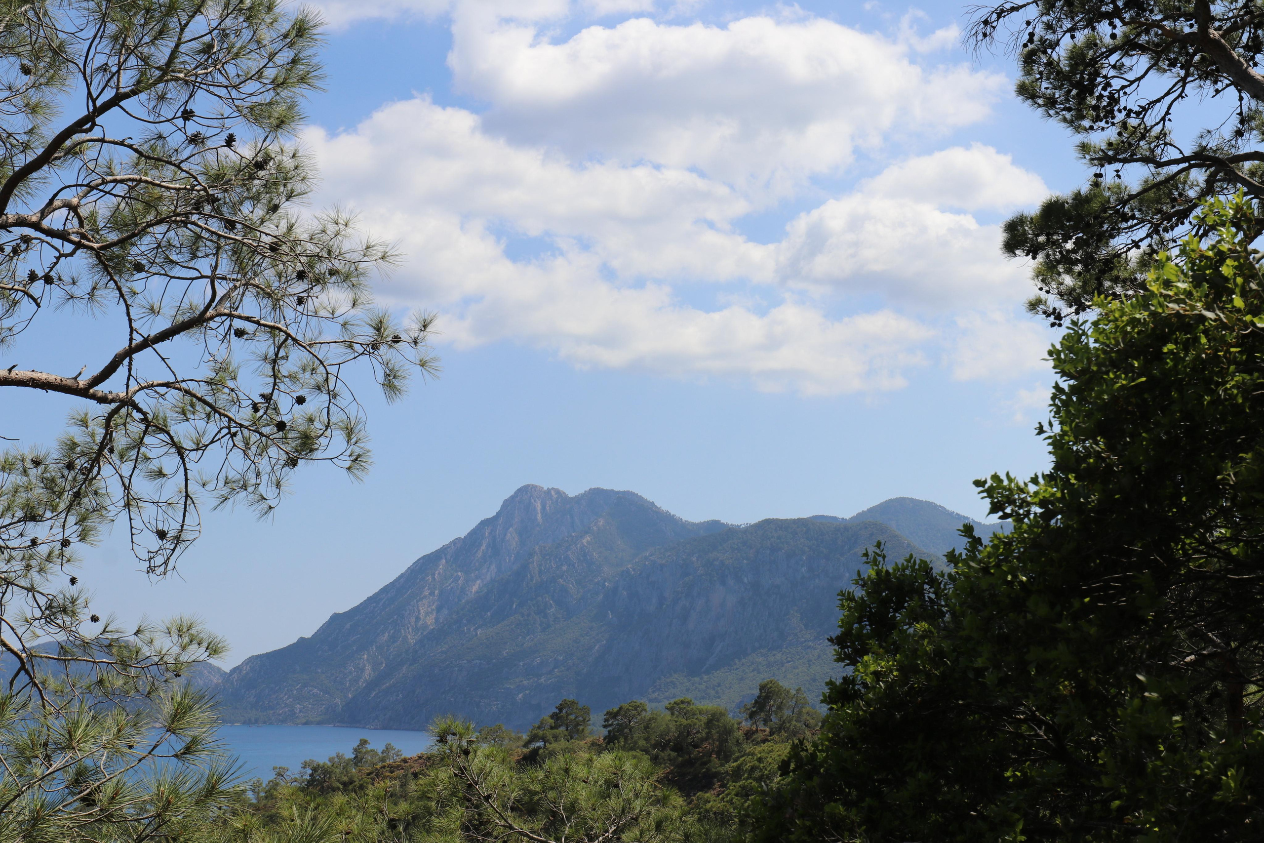 Турция. Чиралы. Май 2022 года. Путешественник-фотограф из Санкт-Петербурга Татьяна Свистулина