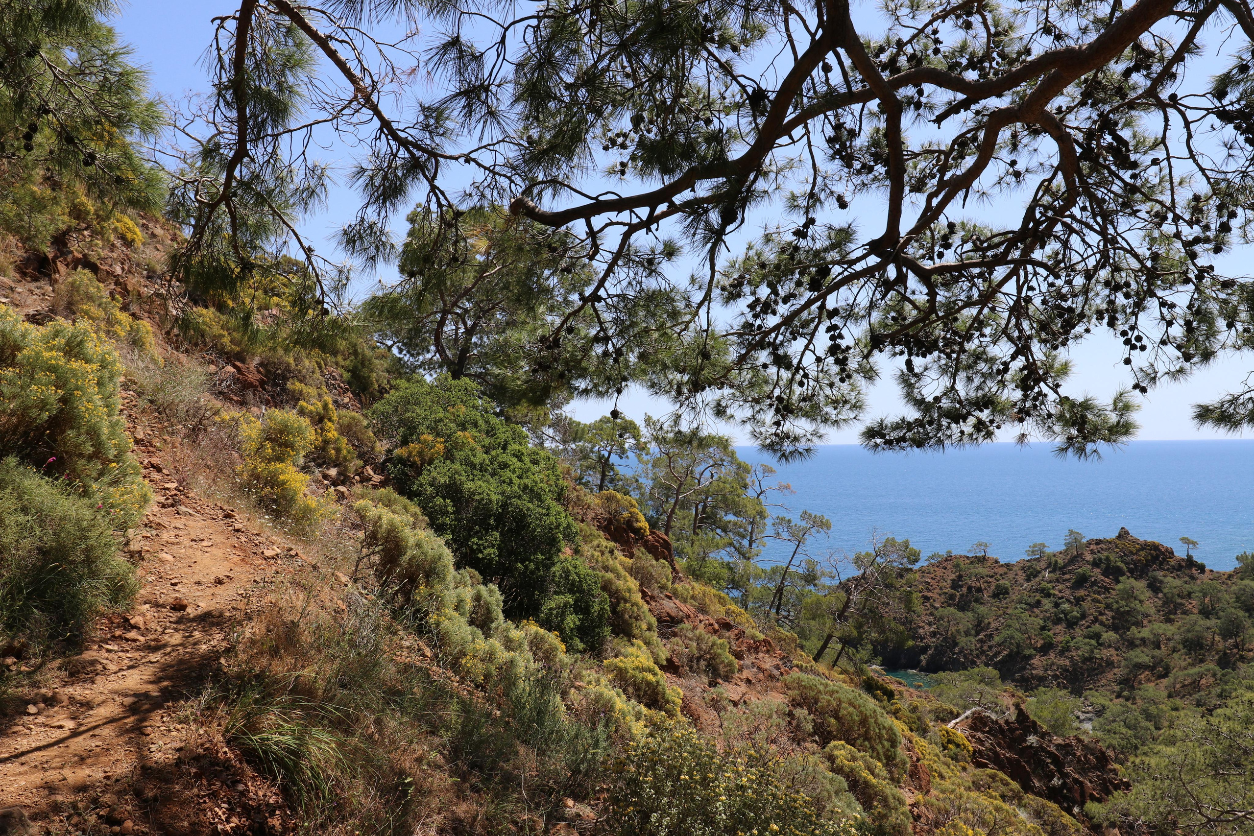 Турция. Чиралы. Май 2022 года. Путешественник-фотограф из Санкт-Петербурга Татьяна Свистулина