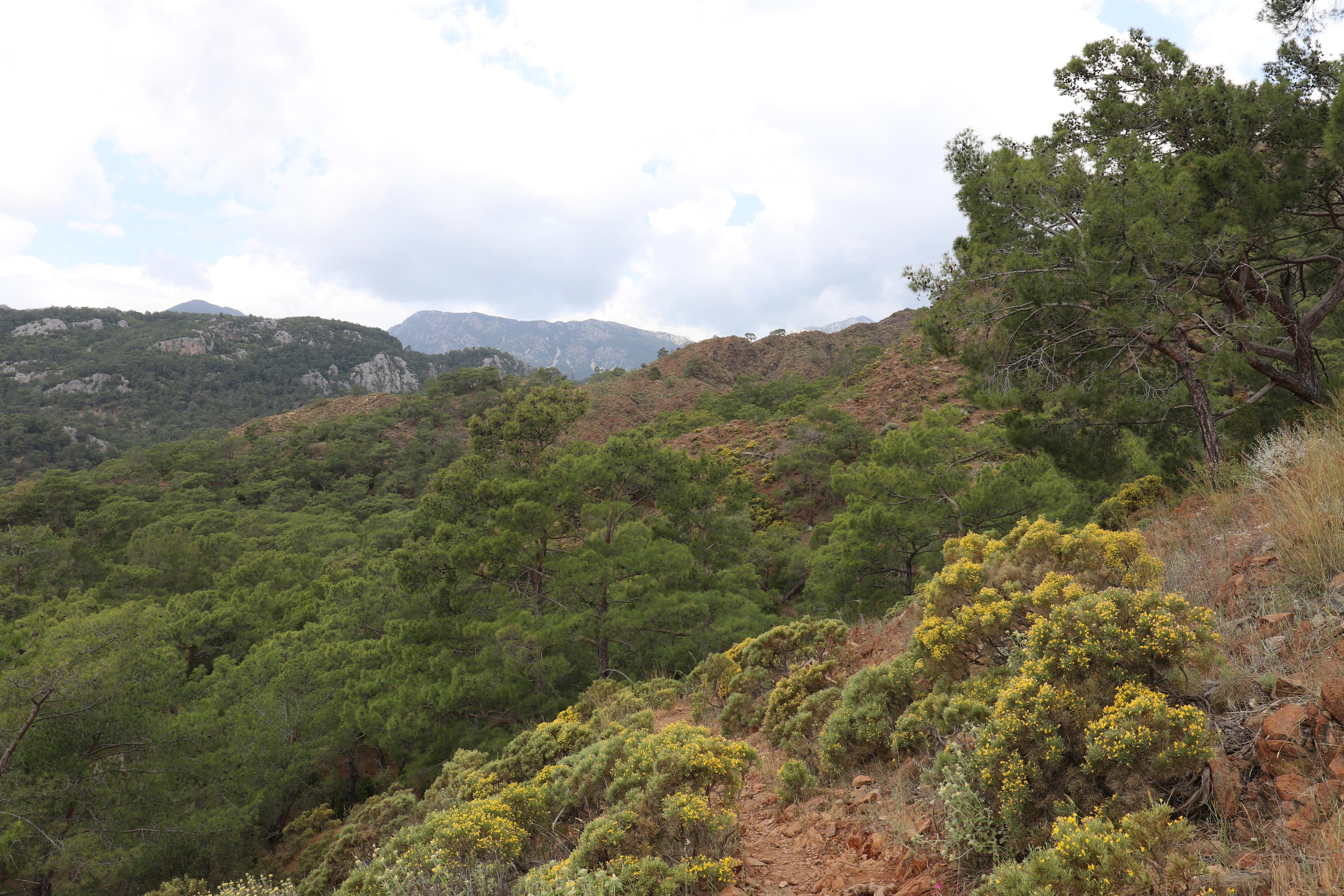 Турция. Чиралы. Май 2022 года. Путешественник-фотограф из Санкт-Петербурга Татьяна Свистулина