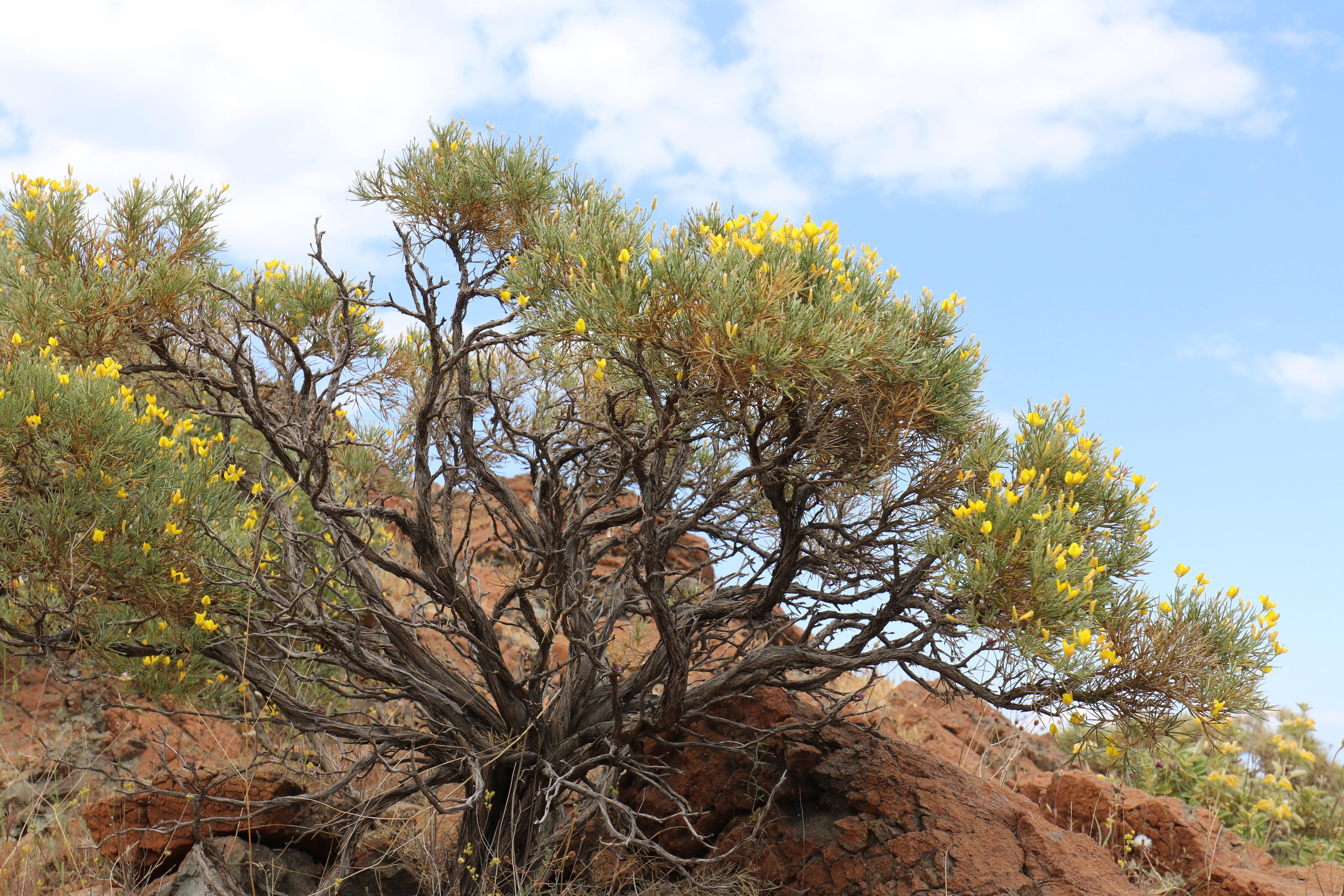 Турция. Чиралы. Май 2022 года. Путешественник-фотограф из Санкт-Петербурга Татьяна Свистулина