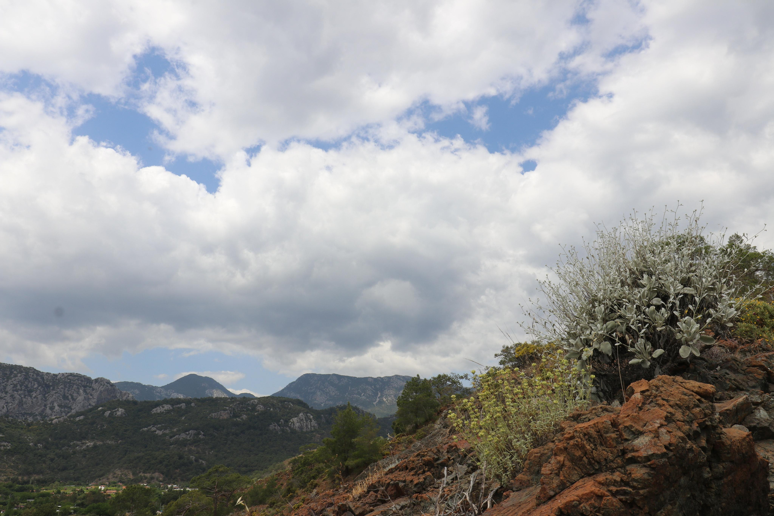 Турция. Чиралы. Май 2022 года. Путешественник-фотограф из Санкт-Петербурга Татьяна Свистулина