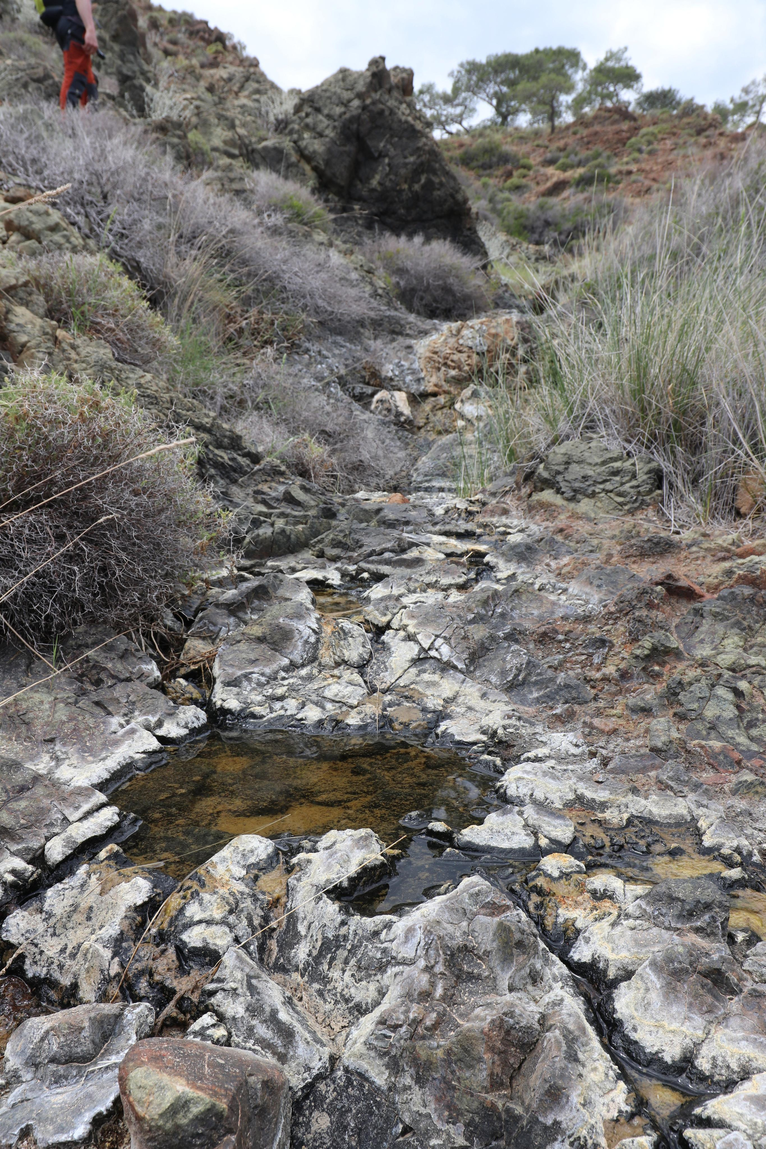 Турция. Чиралы. Май 2022 года. Путешественник-фотограф из Санкт-Петербурга Татьяна Свистулина