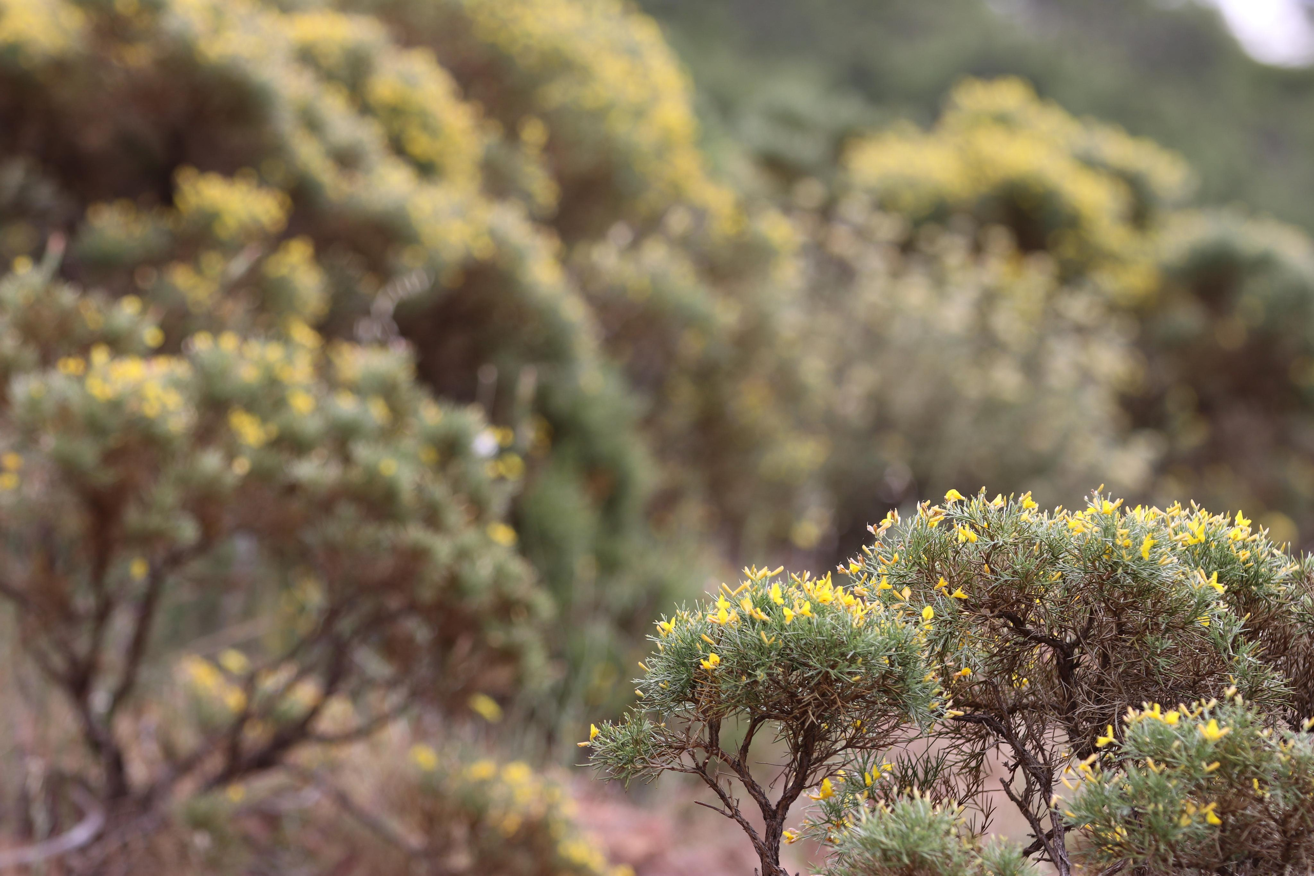 Турция. Чиралы. Май 2022 года. Путешественник-фотограф из Санкт-Петербурга Татьяна Свистулина