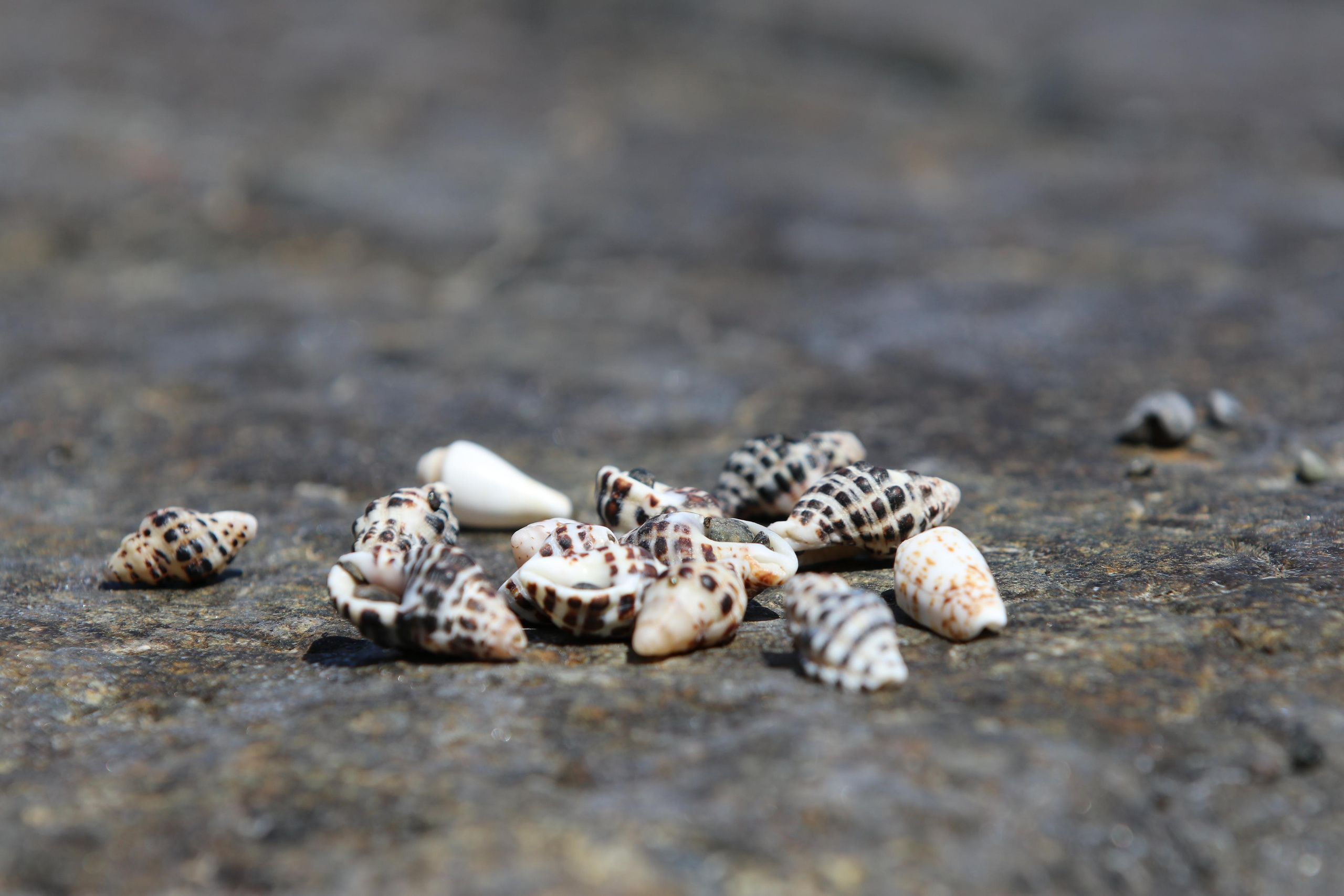 Турция. Чиралы. Май 2022 года. Путешественник-фотограф из Санкт-Петербурга Татьяна Свистулина