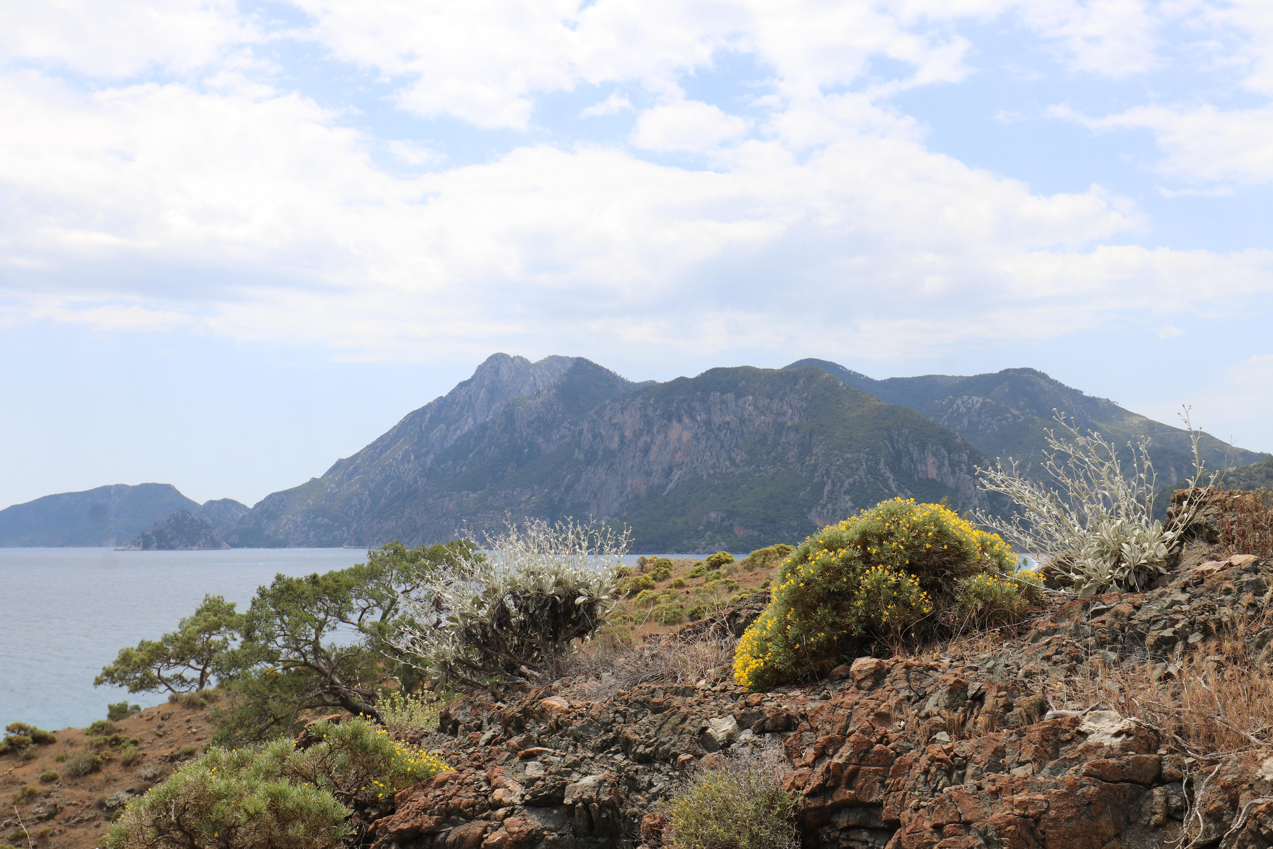 Турция. Чиралы. Май 2022 года. Путешественник-фотограф из Санкт-Петербурга Татьяна Свистулина