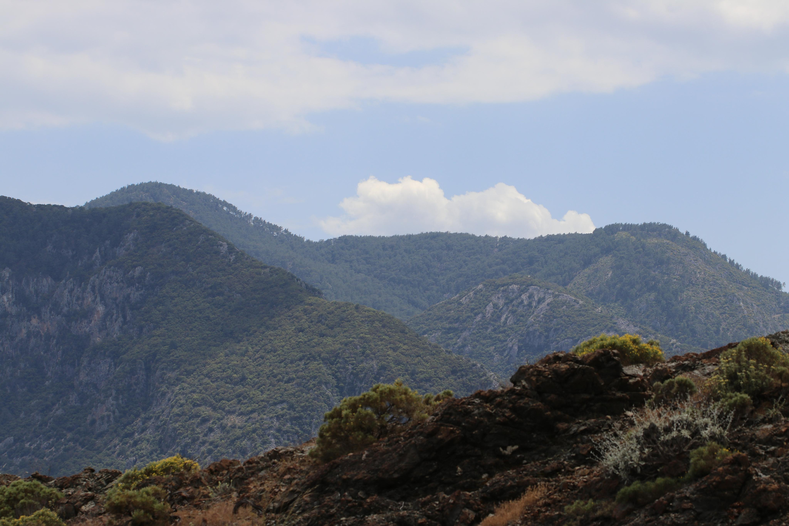 Турция. Чиралы. Май 2022 года. Путешественник-фотограф из Санкт-Петербурга Татьяна Свистулина