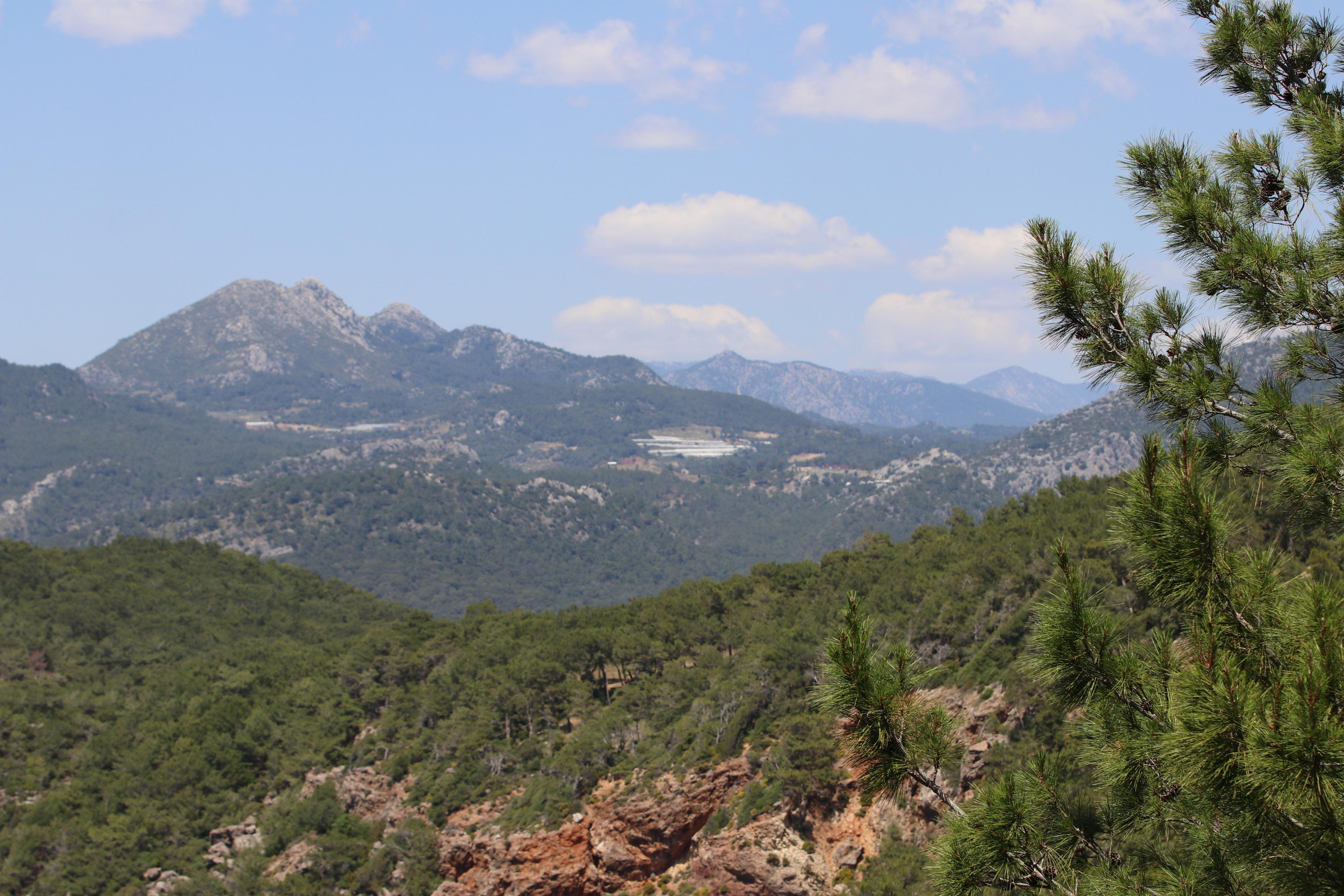 Турция. Чиралы. Май 2022 года. Путешественник-фотограф из Санкт-Петербурга Татьяна Свистулина