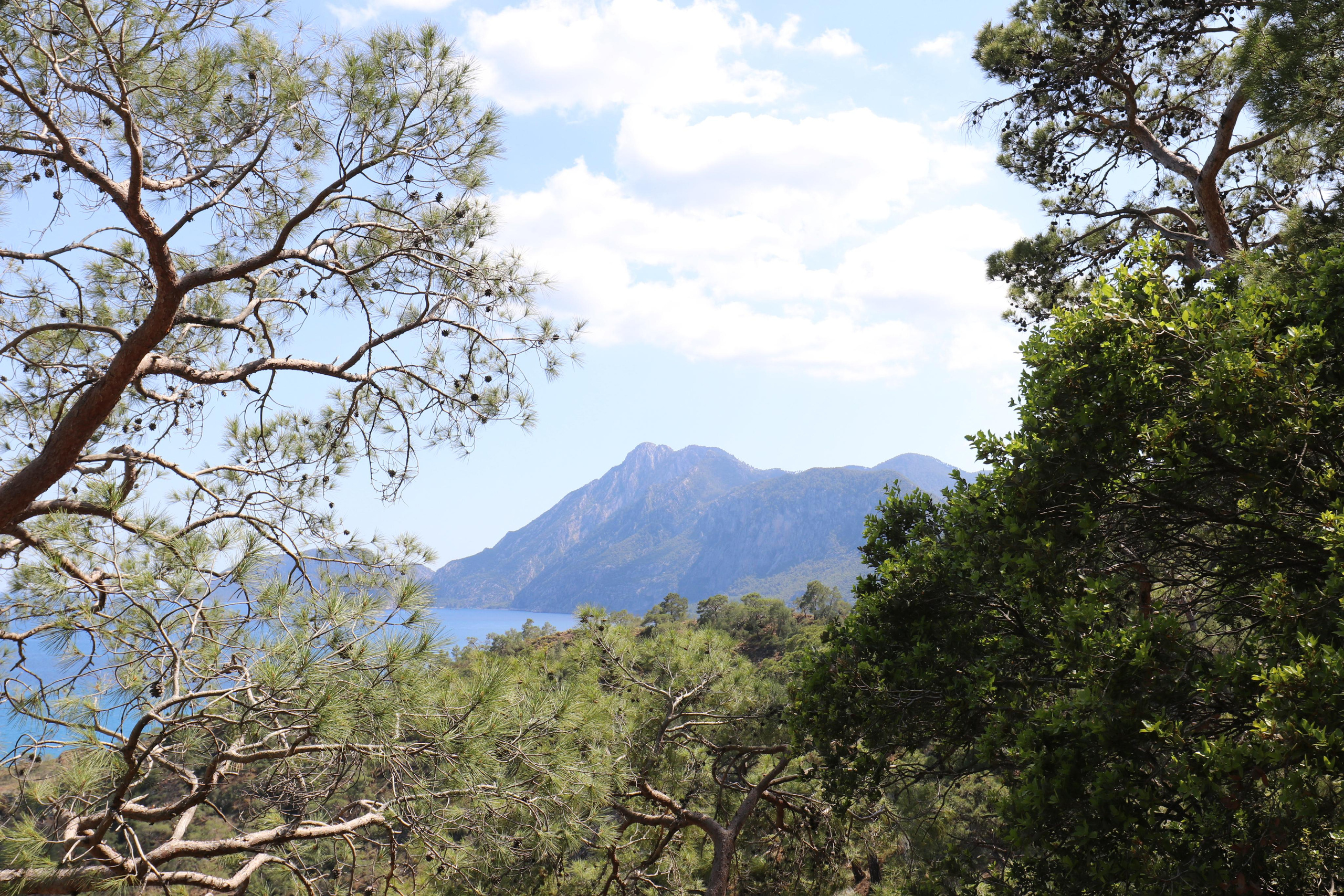 Турция. Чиралы. Май 2022 года. Путешественник-фотограф из Санкт-Петербурга Татьяна Свистулина