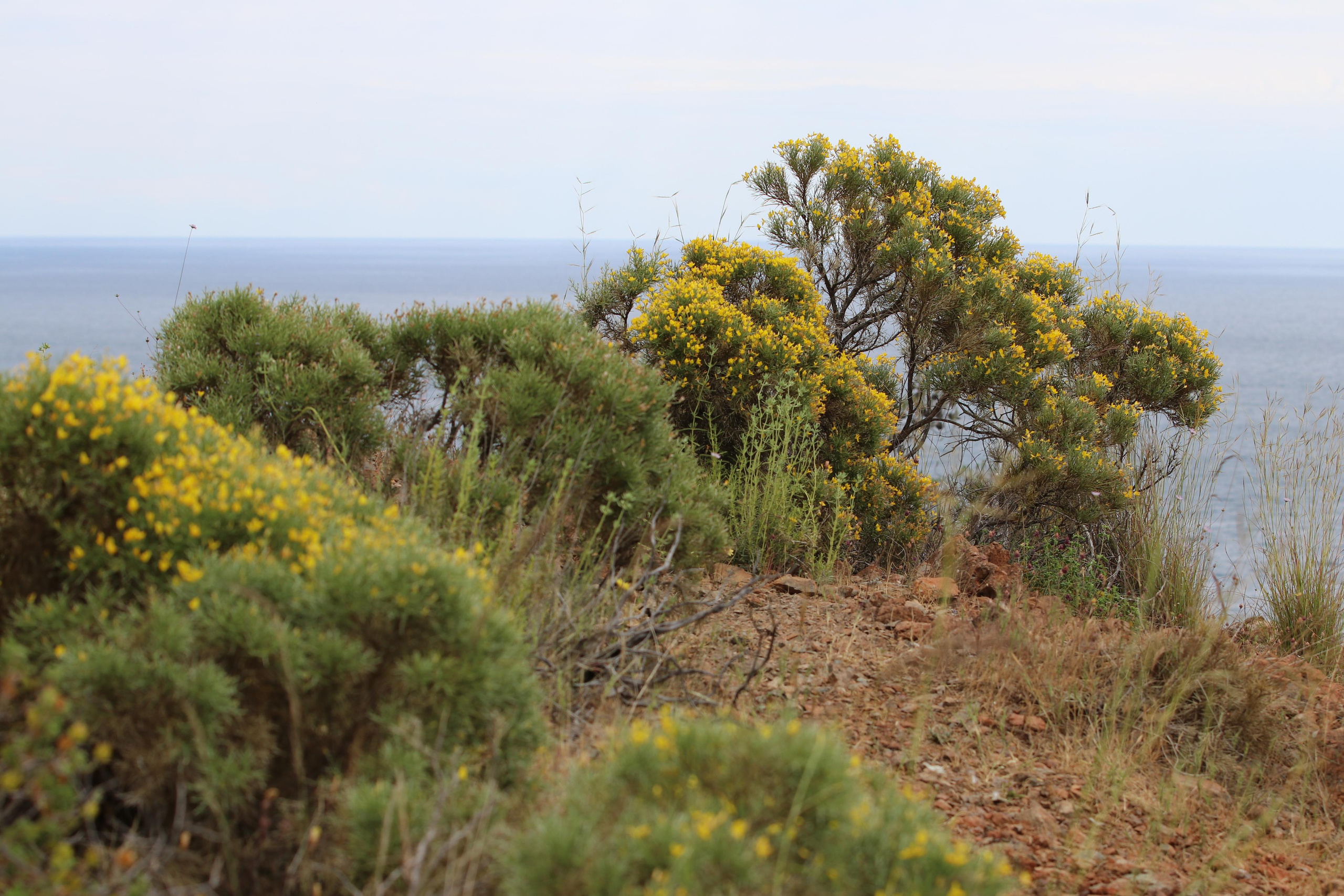 Турция. Чиралы. Май 2022 года. Путешественник-фотограф из Санкт-Петербурга Татьяна Свистулина