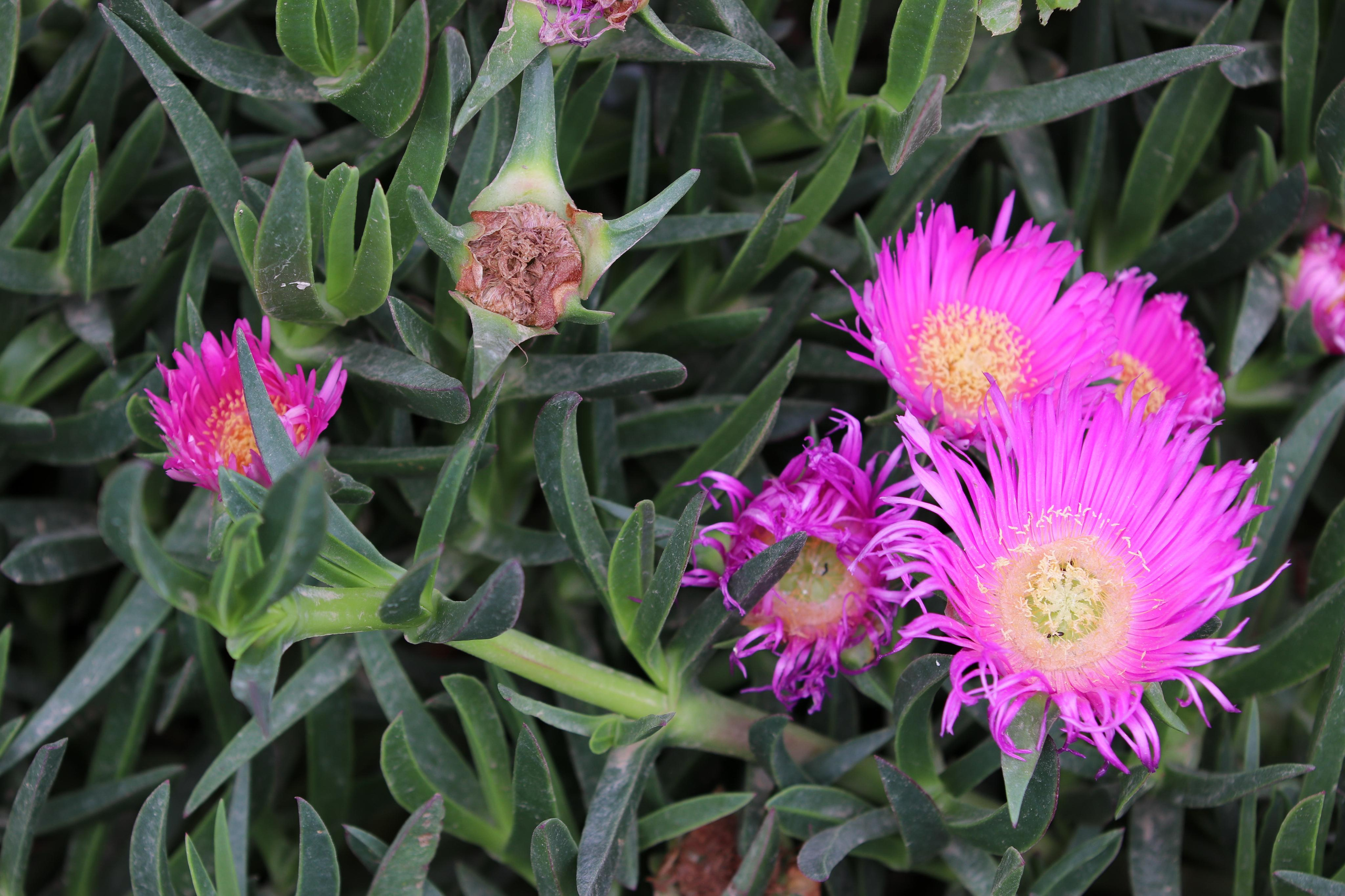 Турция. Чиралы. Май 2022 года. Путешественник-фотограф из Санкт-Петербурга Татьяна Свистулина