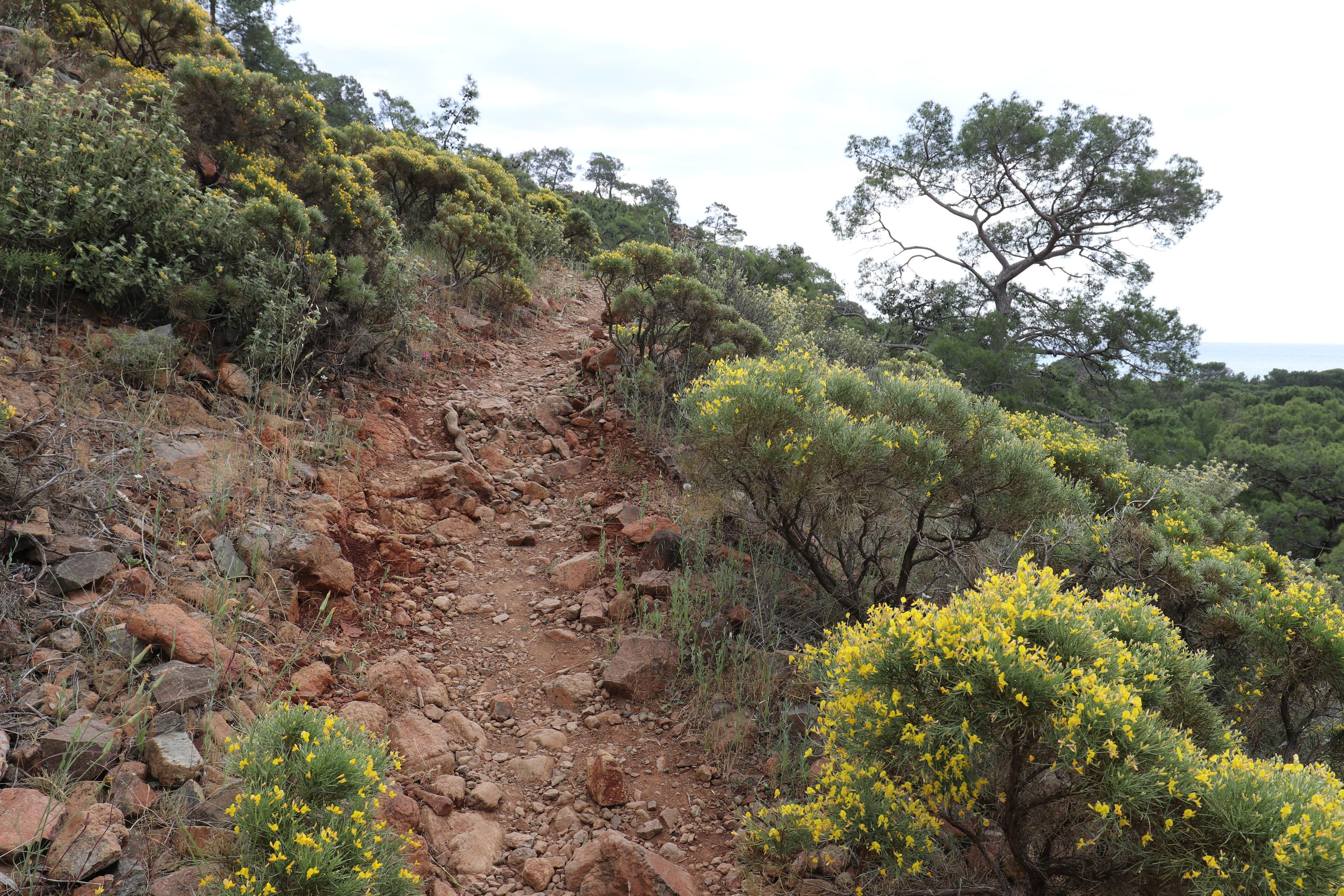 Турция. Чиралы. Май 2022 года. Путешественник-фотограф из Санкт-Петербурга Татьяна Свистулина