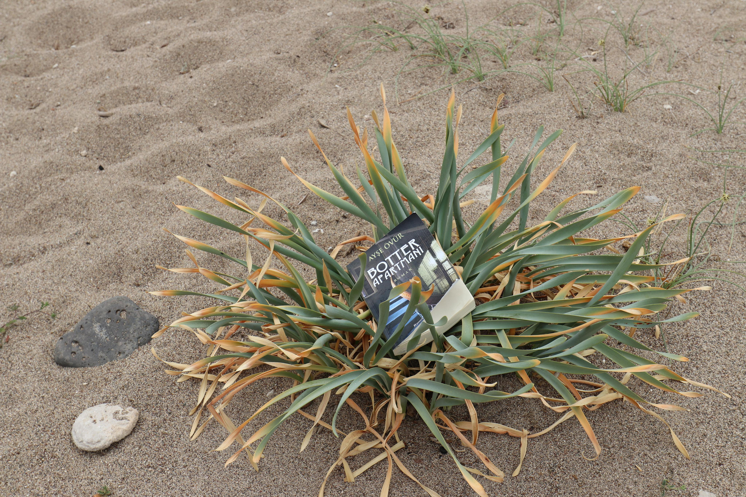 Турция. Чиралы. Май 2022 года. Путешественник-фотограф из Санкт-Петербурга Татьяна Свистулина