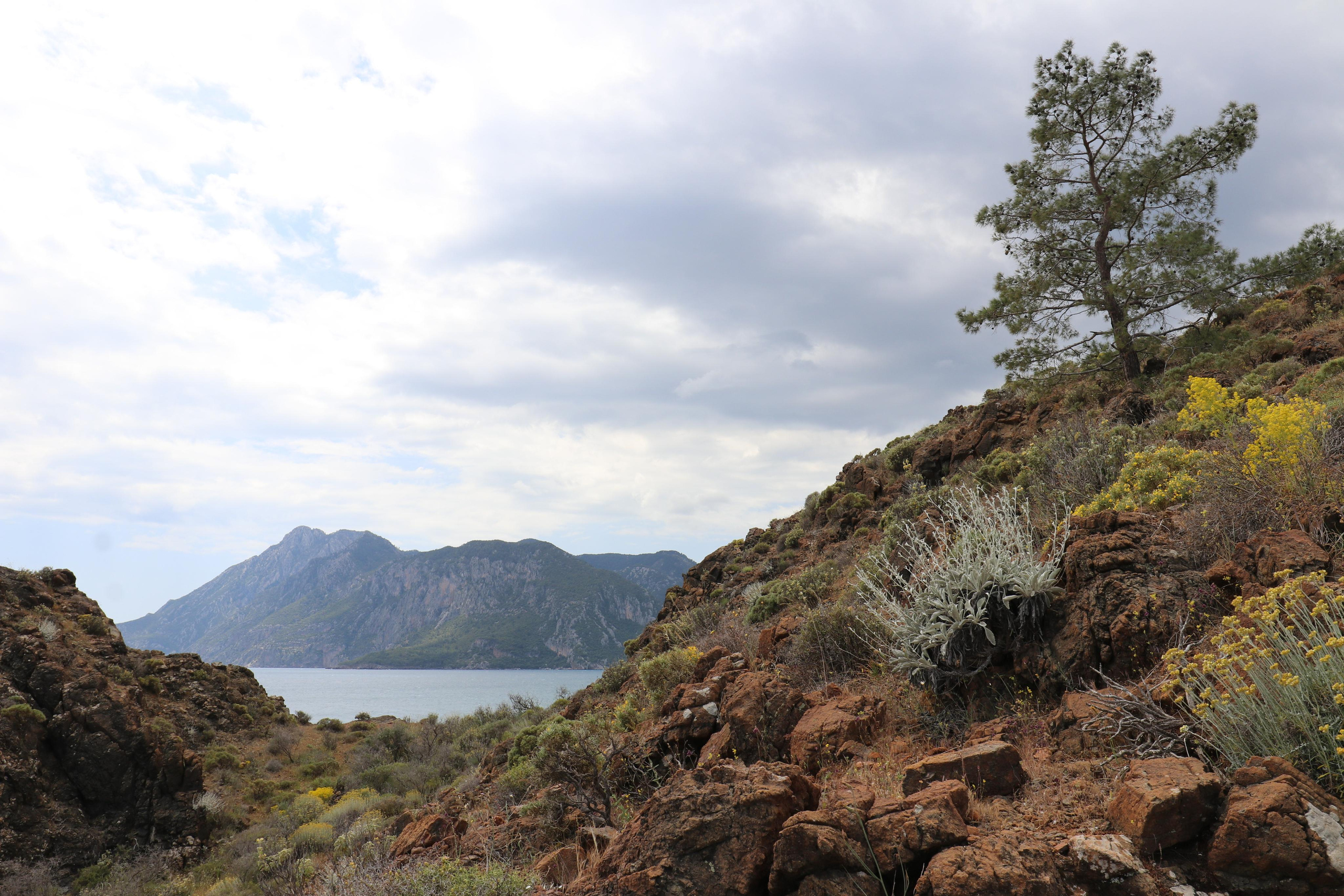 Турция. Чиралы. Май 2022 года. Путешественник-фотограф из Санкт-Петербурга Татьяна Свистулина