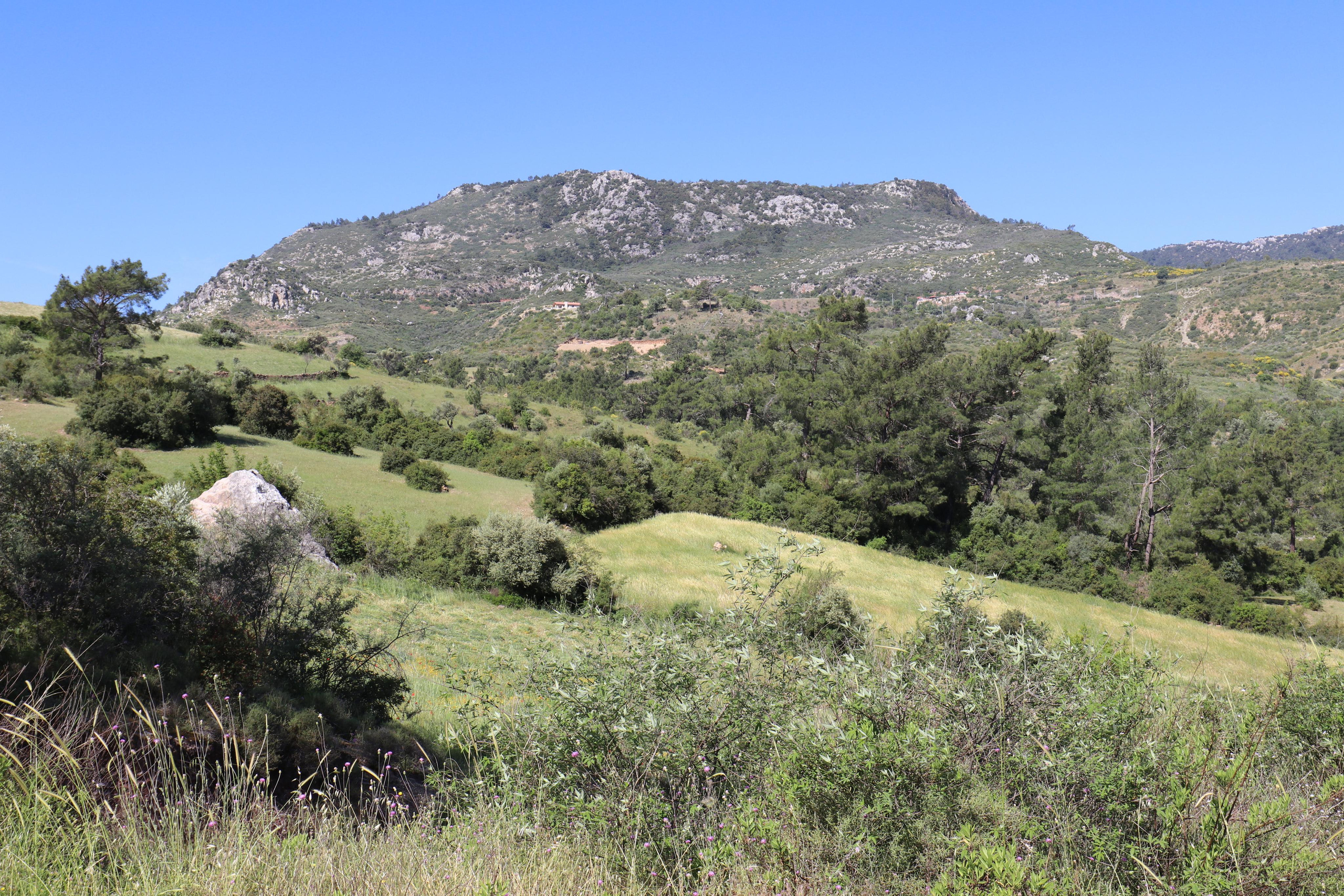 Турция. Чиралы. Май 2022 года. Путешественник-фотограф из Санкт-Петербурга Татьяна Свистулина