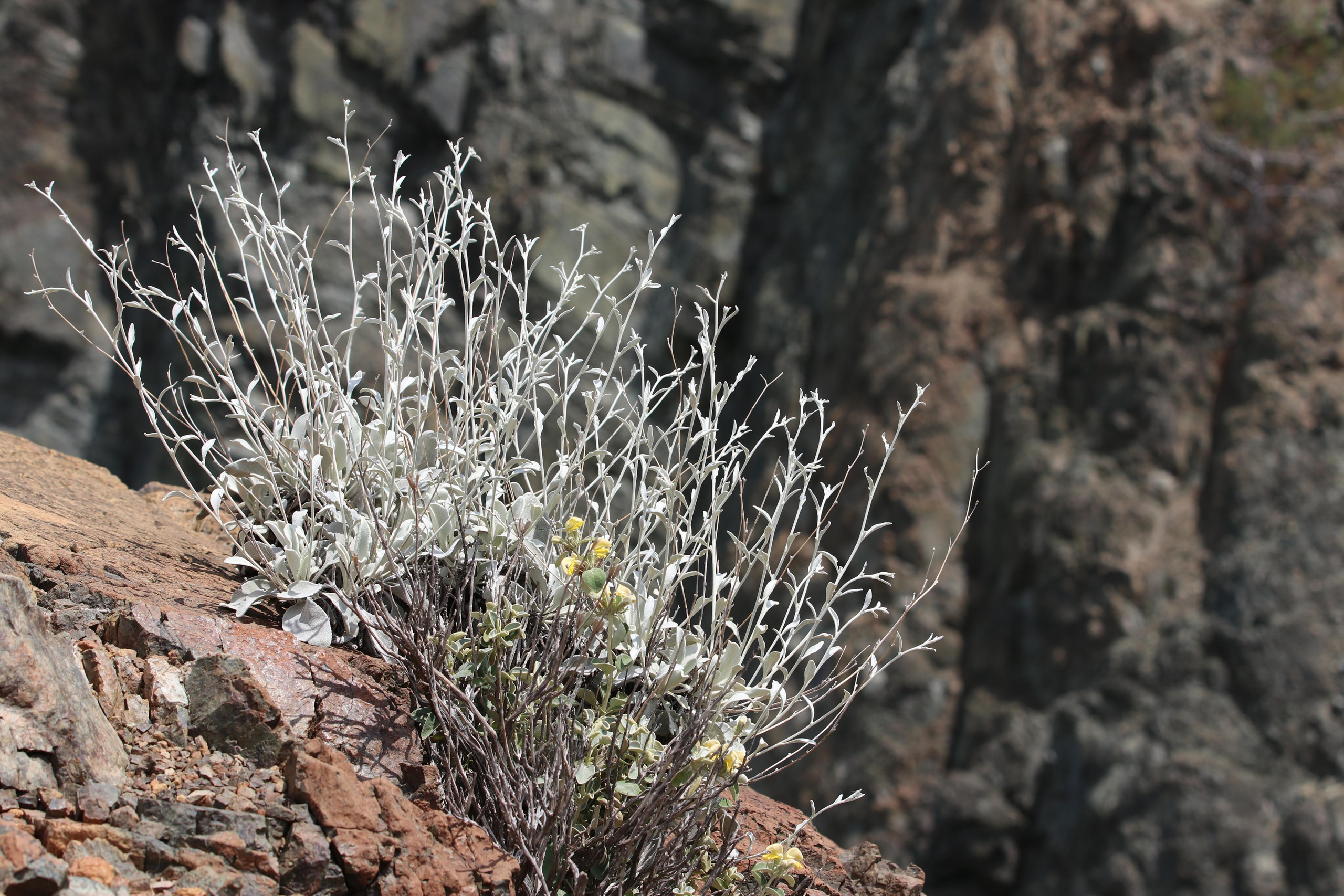 Турция. Чиралы. Май 2022 года. Путешественник-фотограф из Санкт-Петербурга Татьяна Свистулина