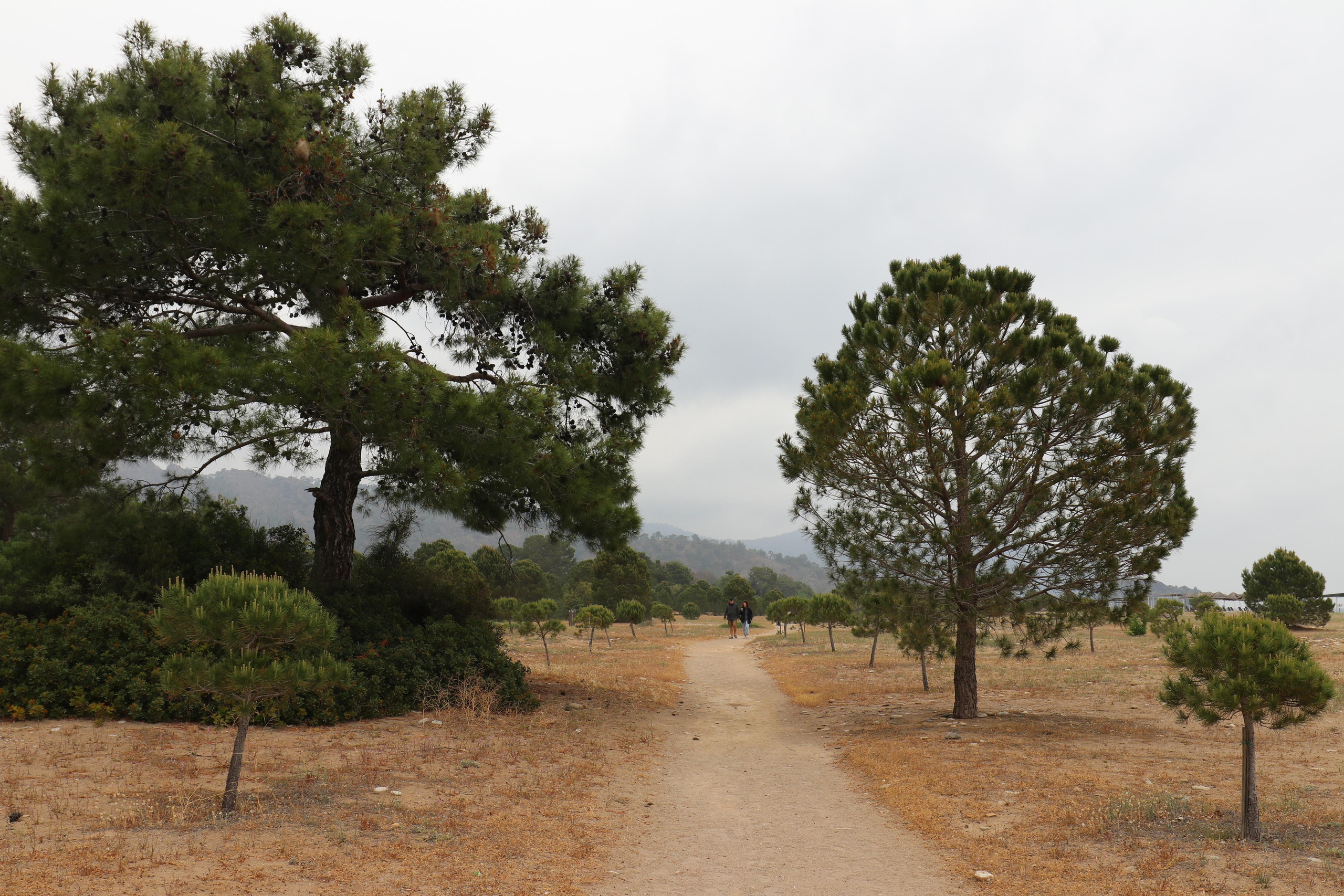 Турция. Чиралы. Май 2022 года. Путешественник-фотограф из Санкт-Петербурга Татьяна Свистулина