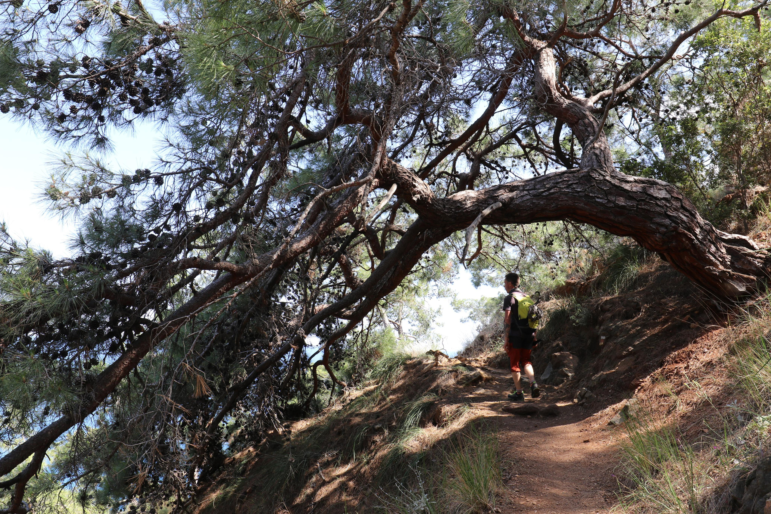 Турция. Чиралы. Май 2022 года. Путешественник-фотограф из Санкт-Петербурга Татьяна Свистулина