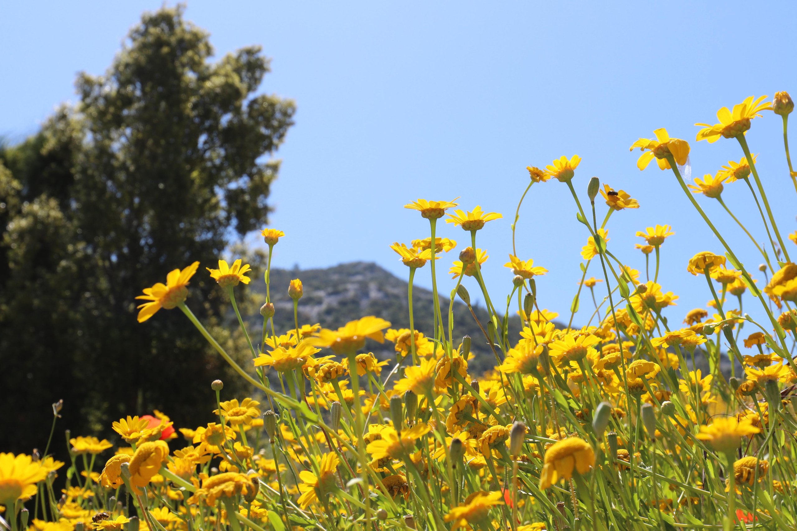 Турция. Чиралы. Май 2022 года. Путешественник-фотограф из Санкт-Петербурга Татьяна Свистулина